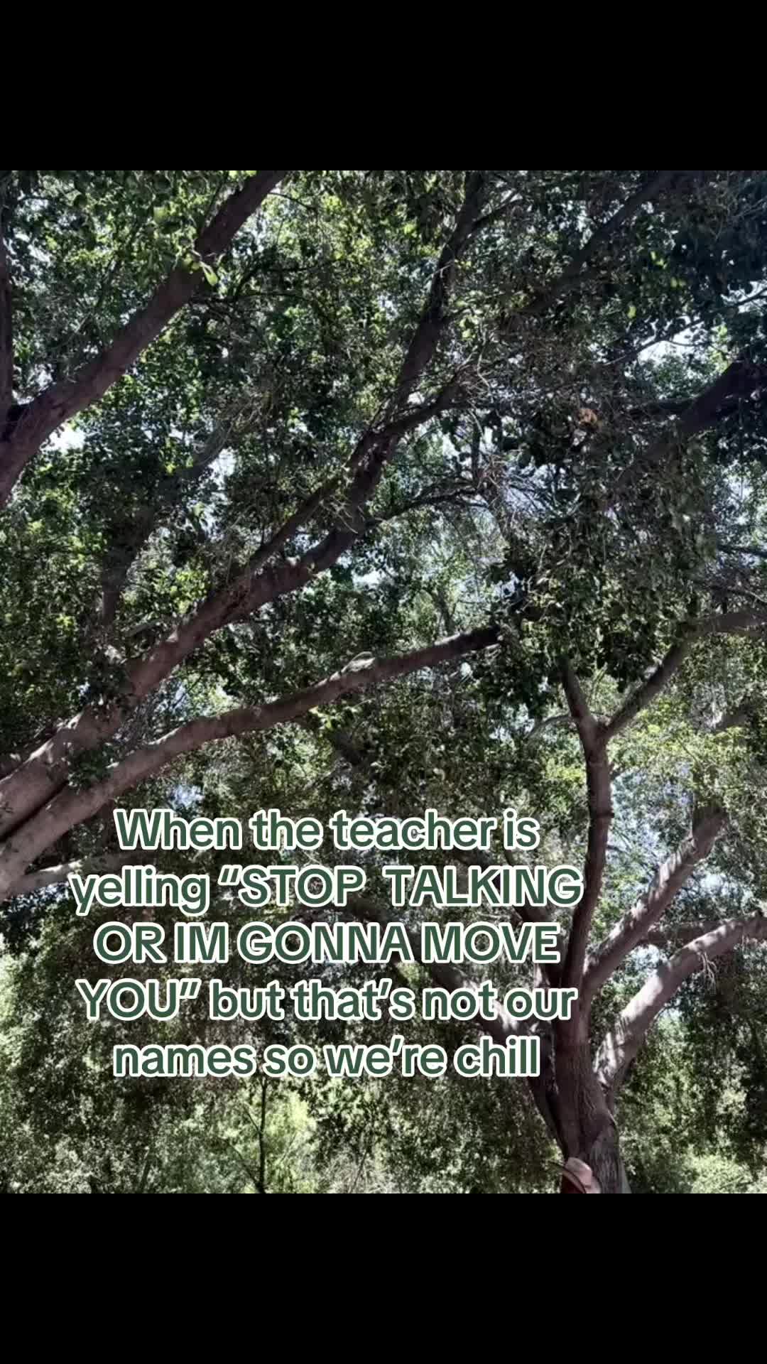 @☆彡