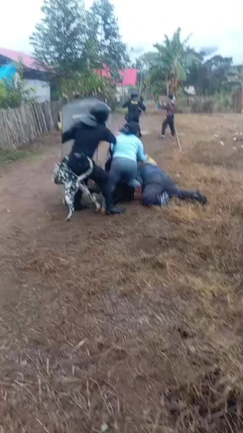 @oxaprensaenacción