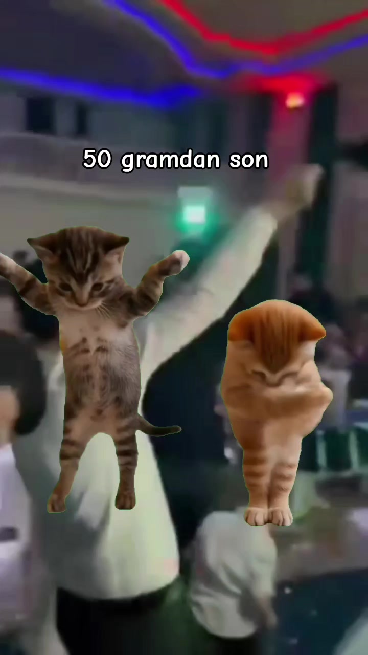 @⚡⚡⚡⚡