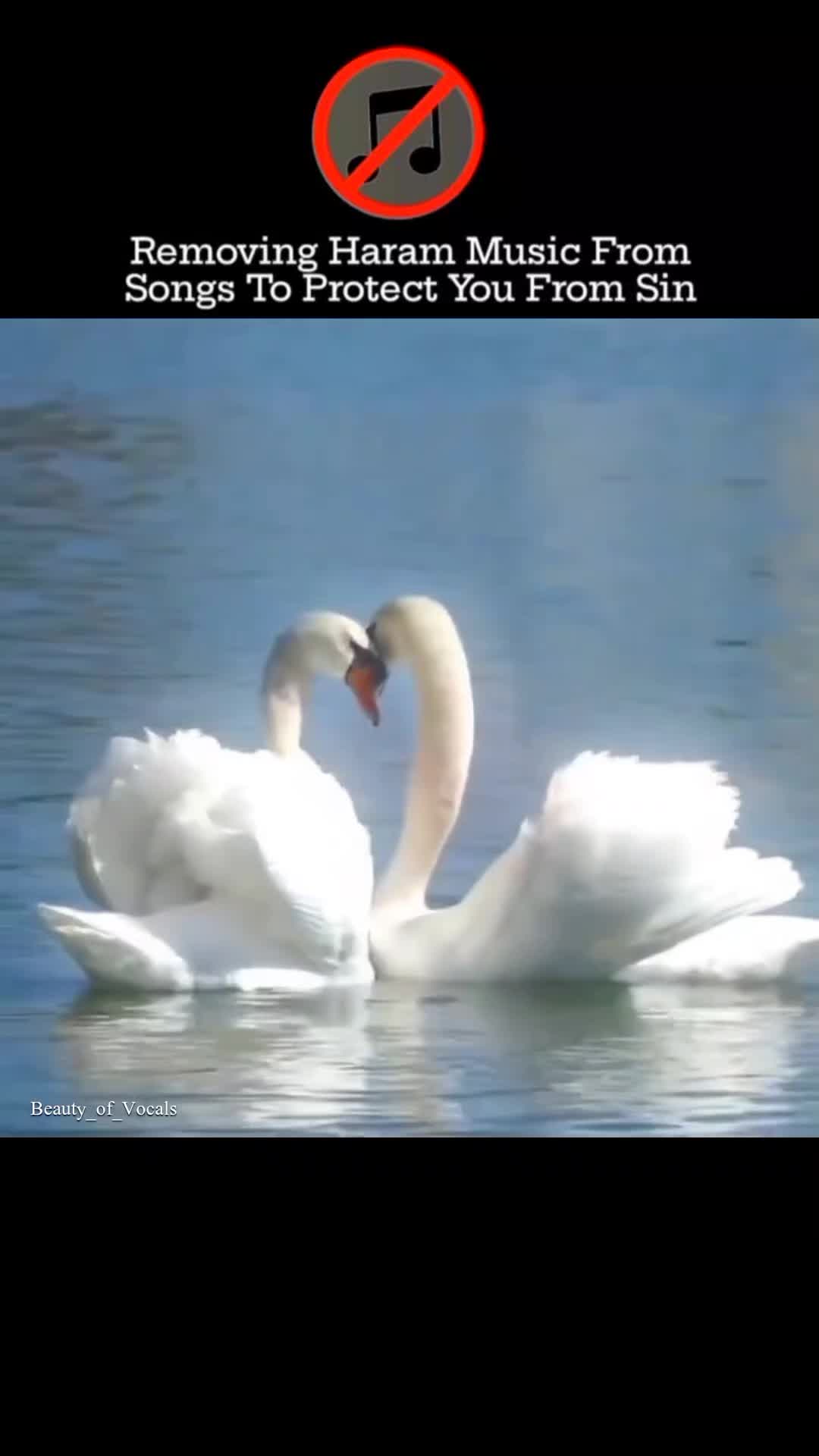 @𝐁𝐞𝐚𝐮𝐭𝐲_𝐨𝐟_𝐕𝐨𝐜𝐚𝐥𝐬