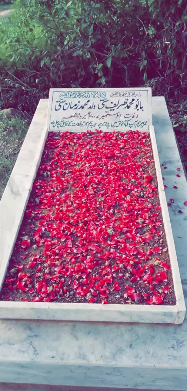 @Haider Satti