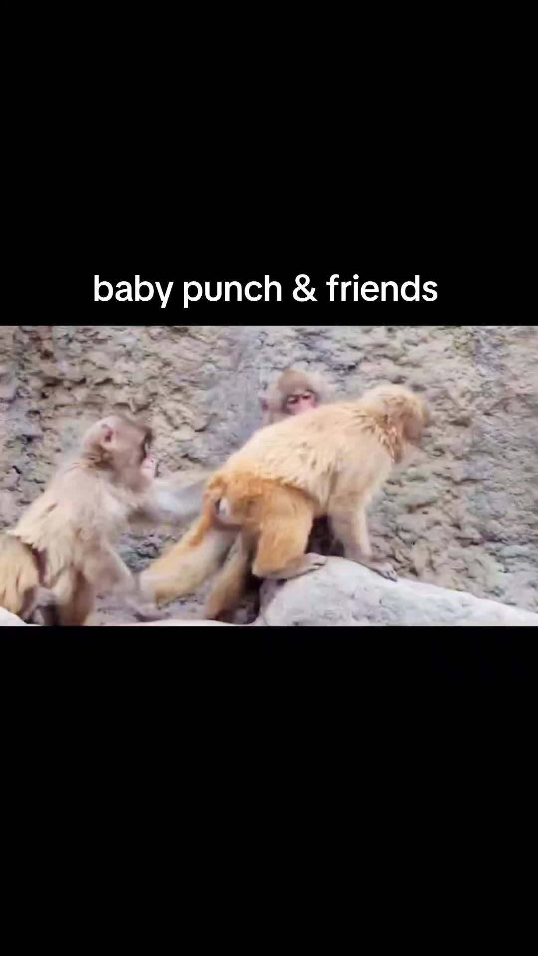 @Punch baby