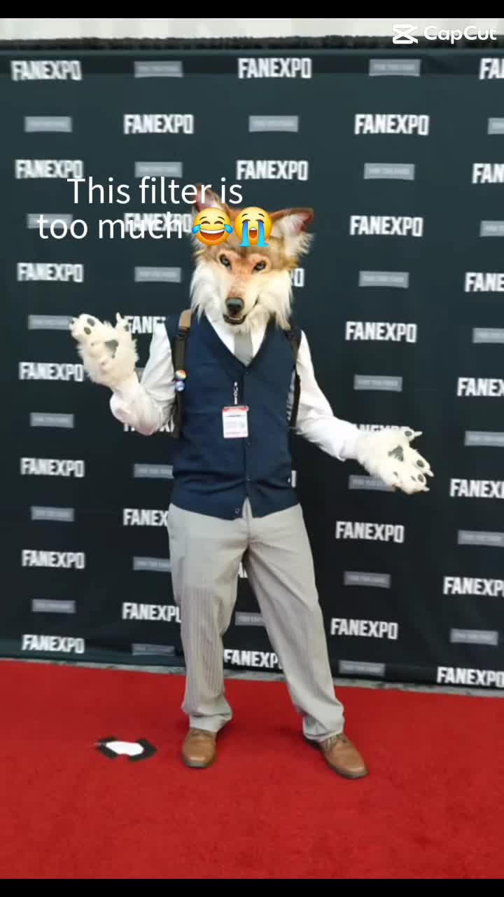 @SaltyFox