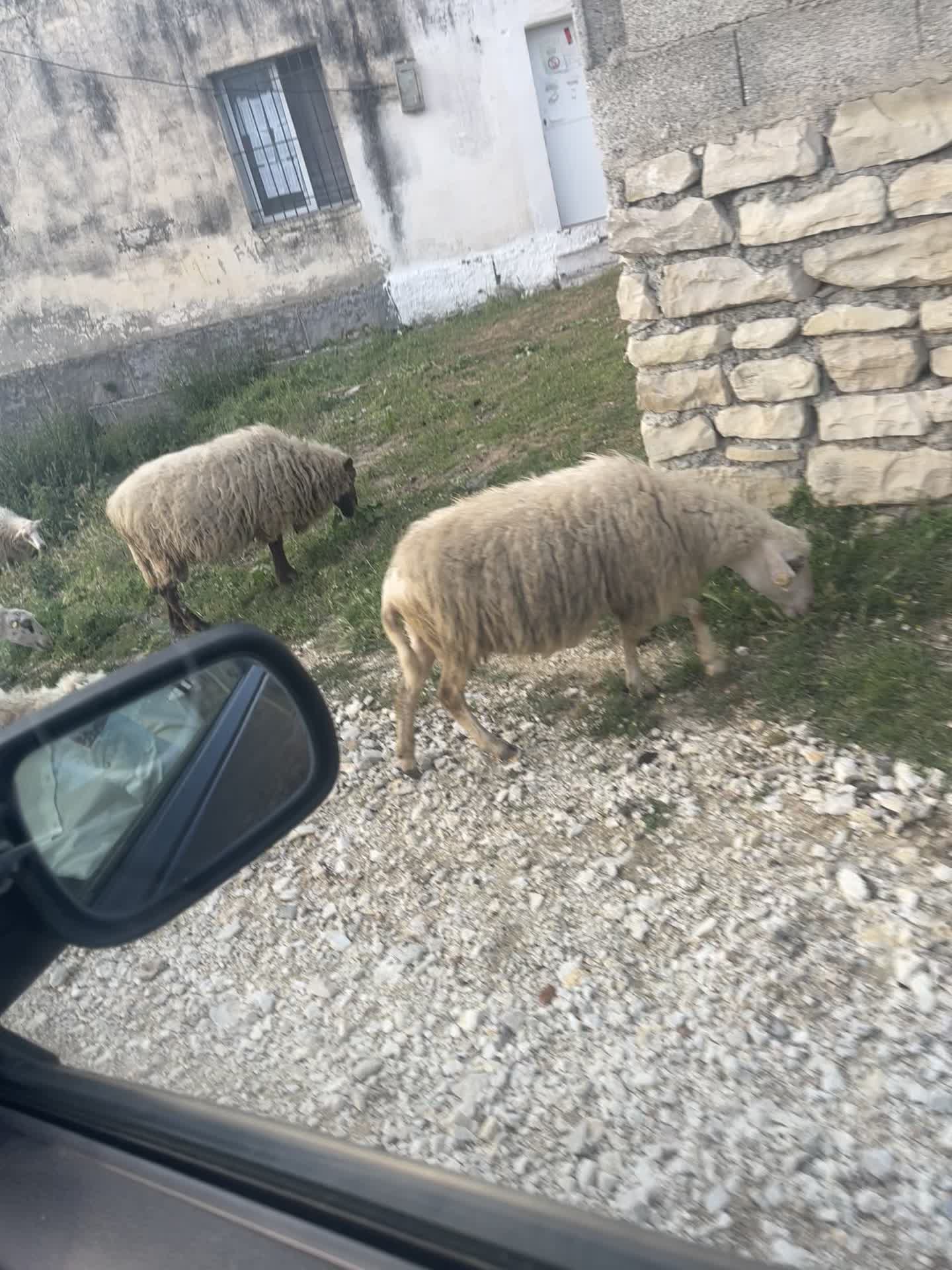 @Gelsi
