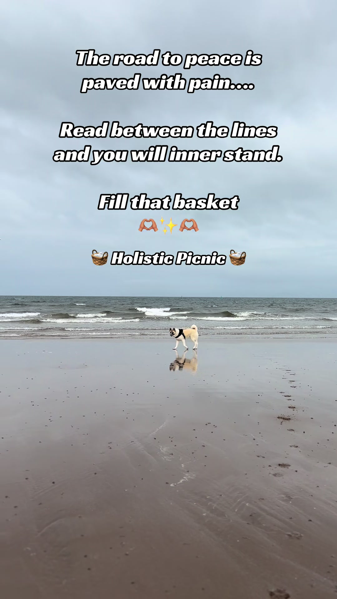 @HolisticPicnic