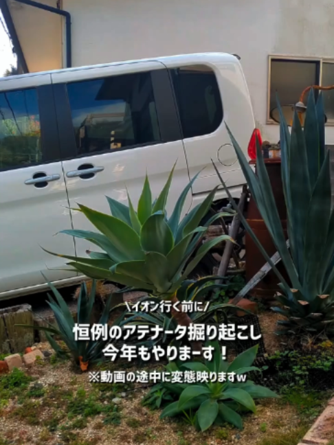 @KyotoTravelJP