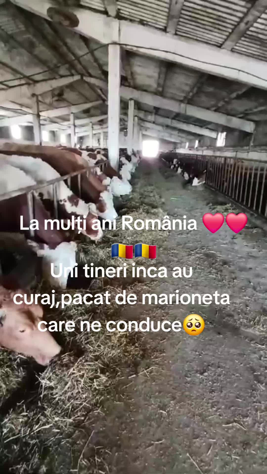 @Iulian❤️
