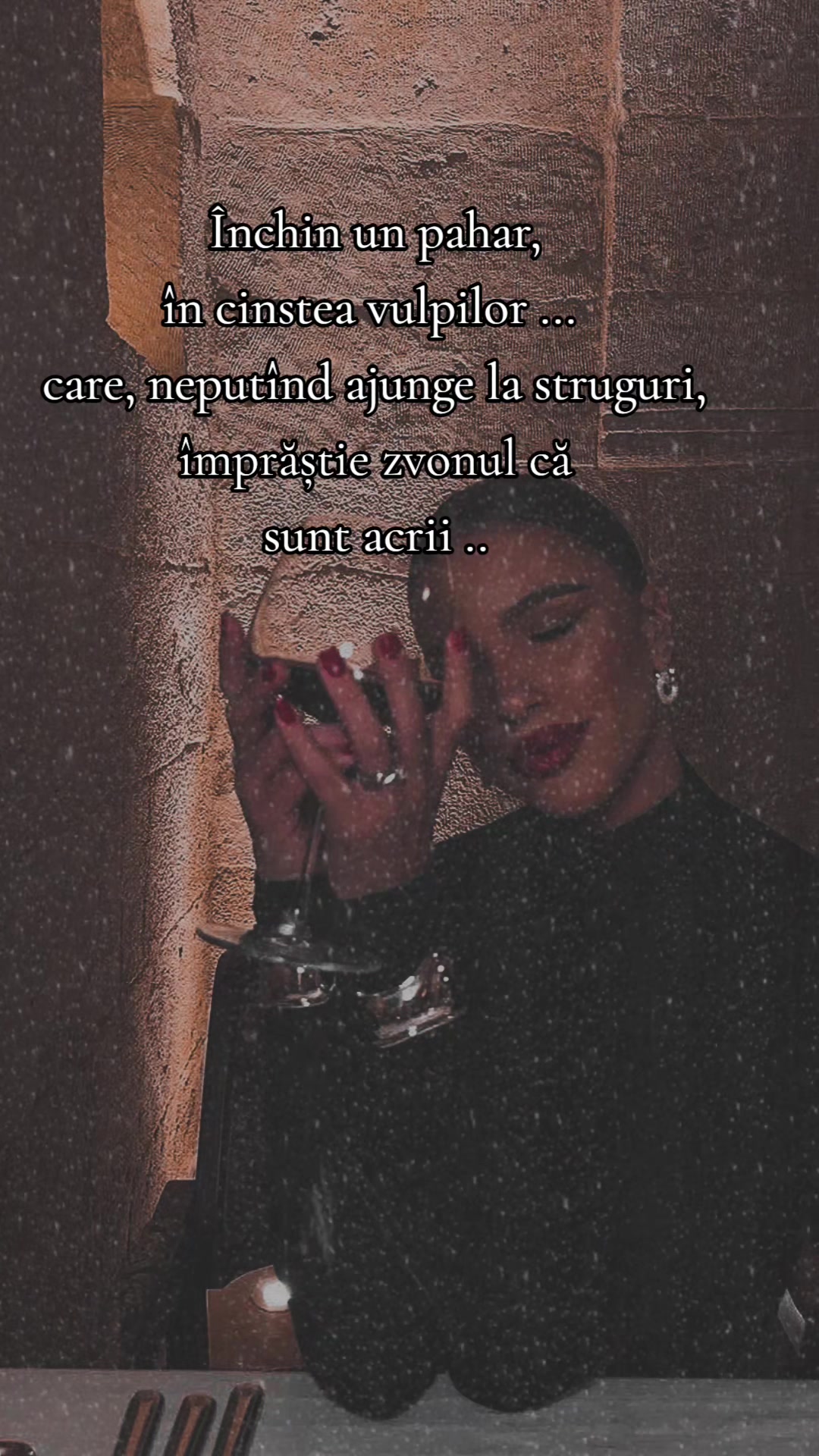 @𝒯𝒶𝓃ℯ𝒶🤍