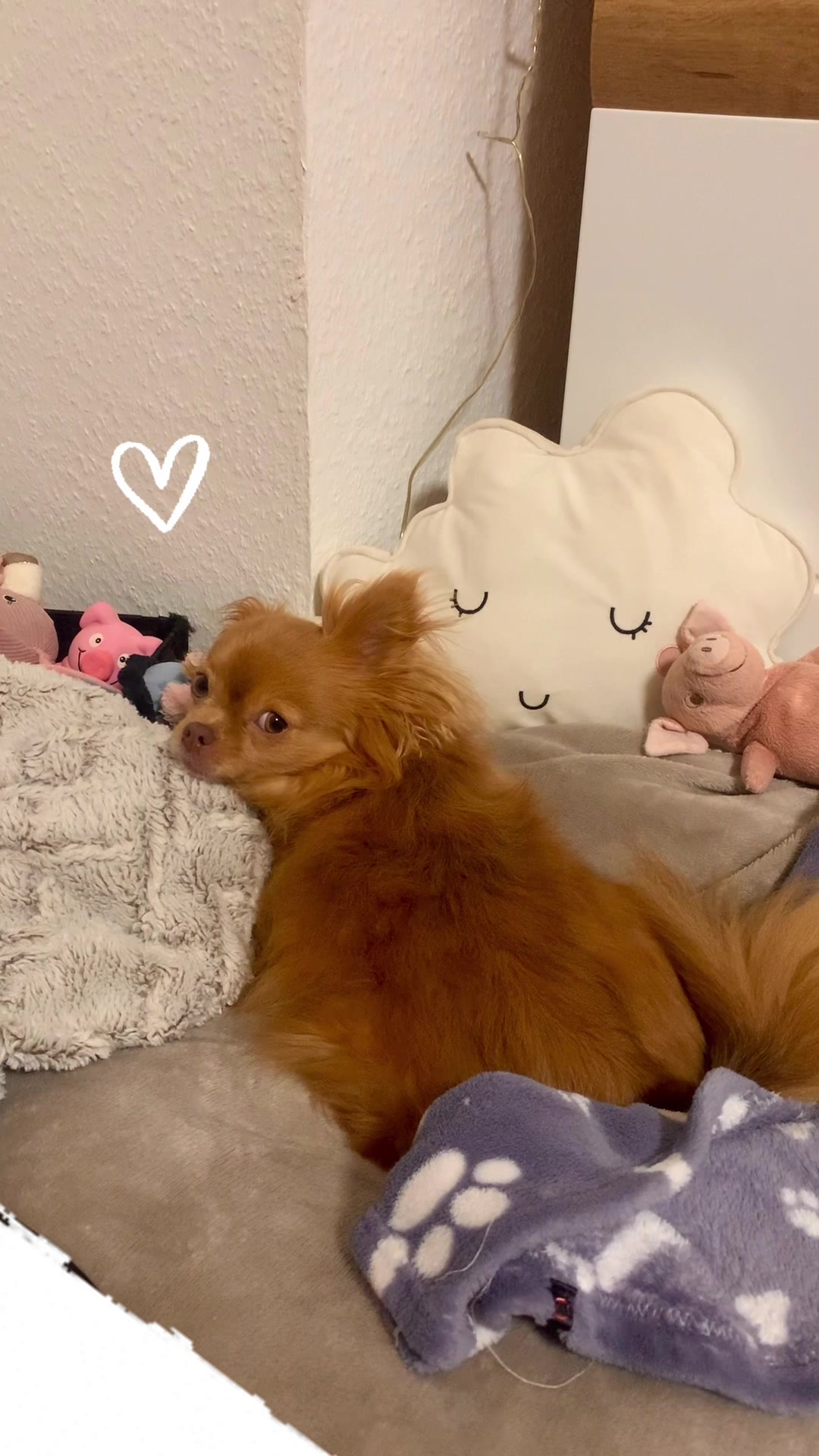 @Lisa💙PhiLLs kleine Nervensäge