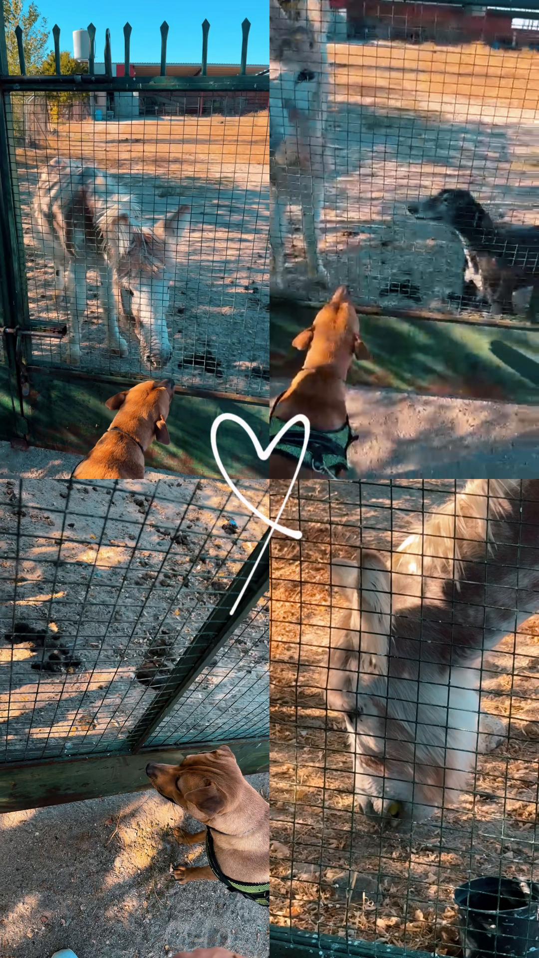 @Liber💋🥰