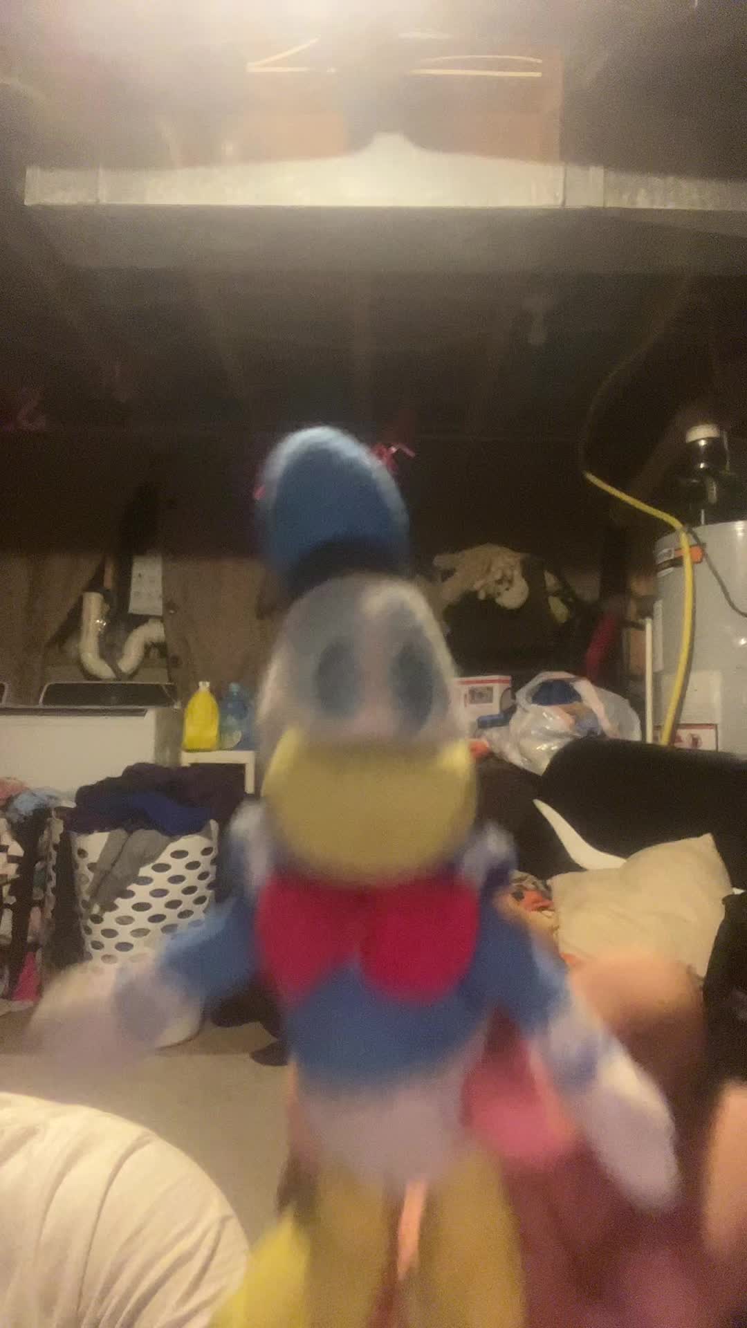 @Donald Duck