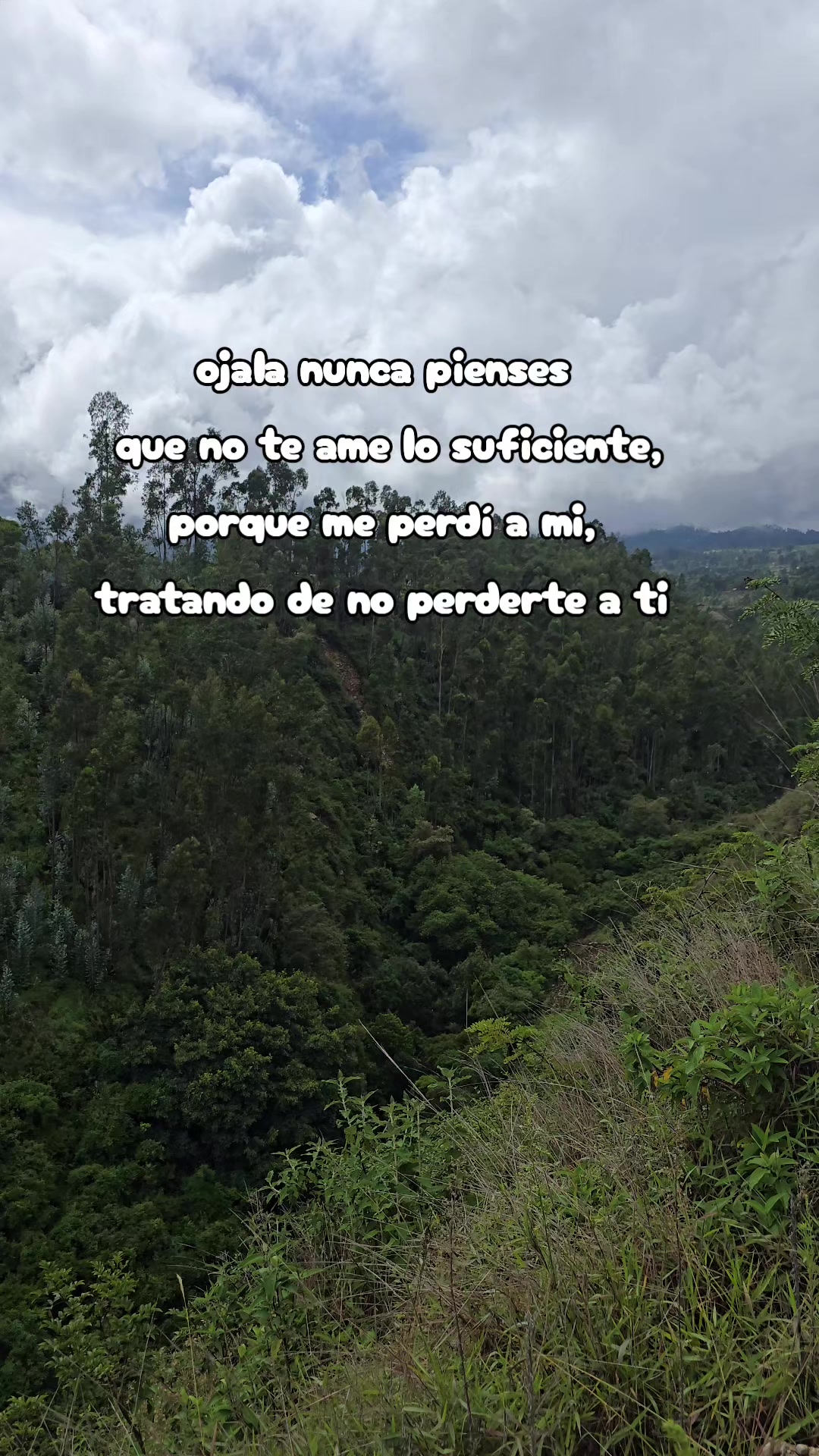 @Jorge Luis Bustos