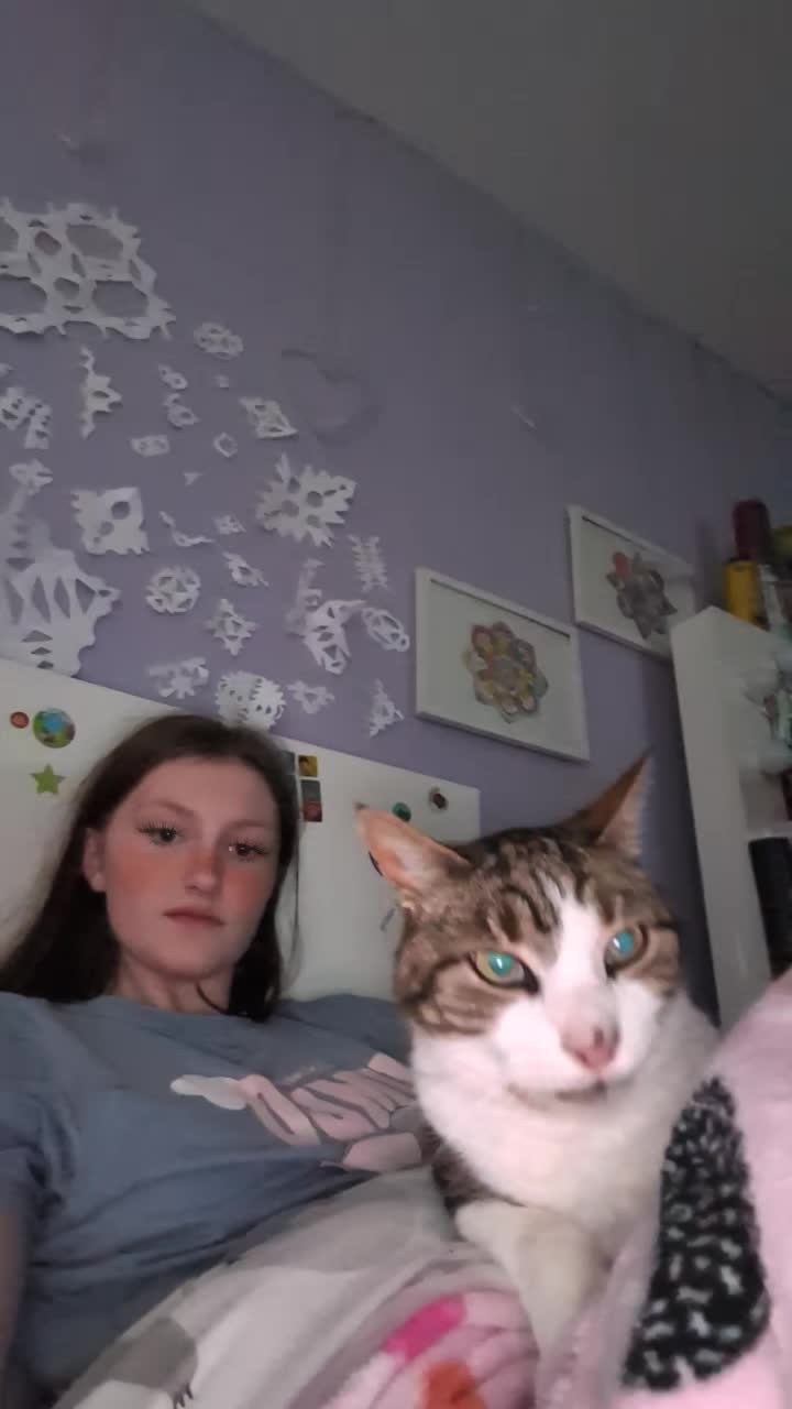@Ella loves animals 🐢🦔🐱