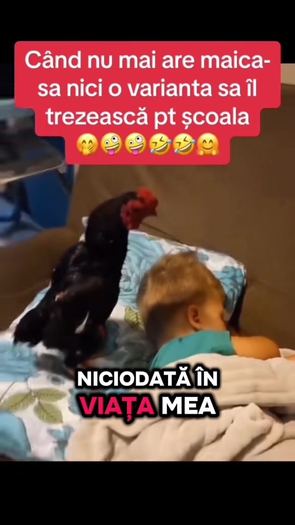 @Costy