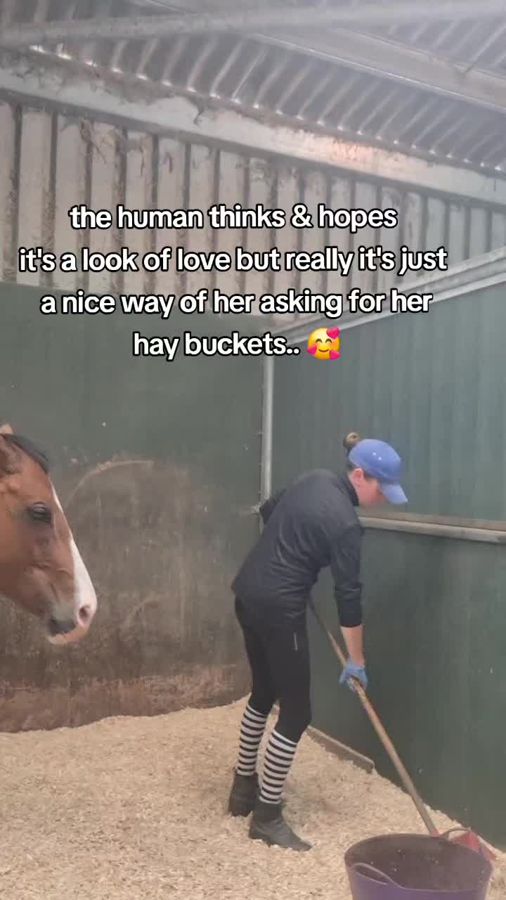 @Life with Suni D 🐴
