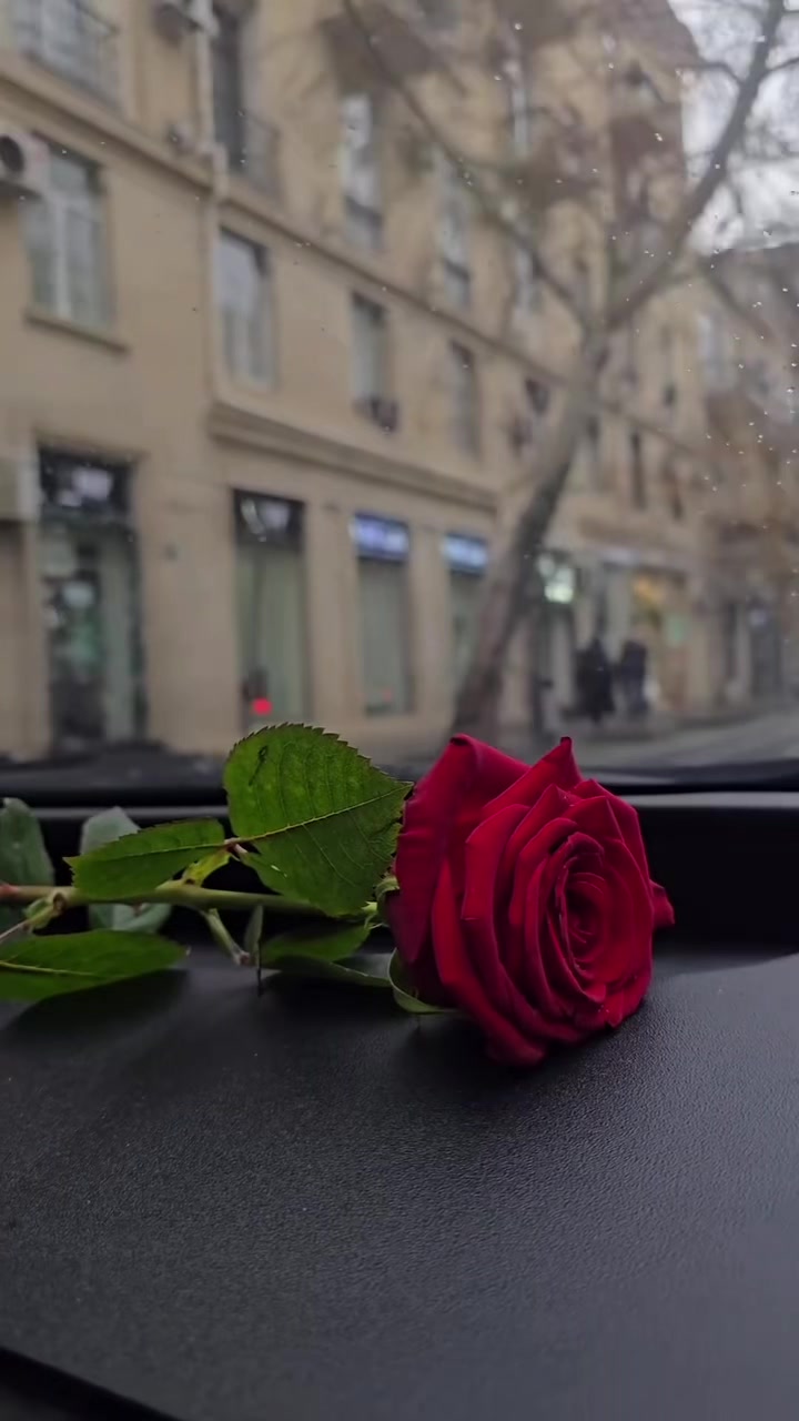 @❤️❤️❤️