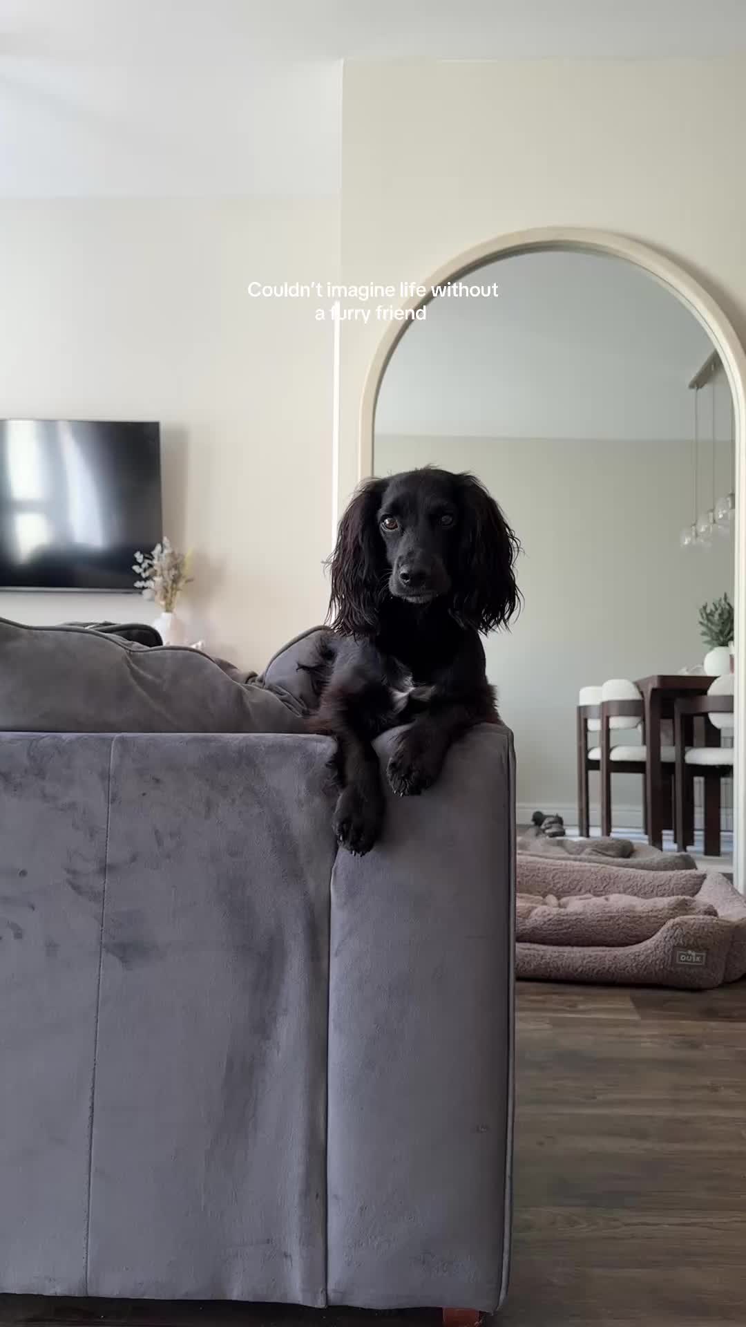 @maggie.moo.cocker