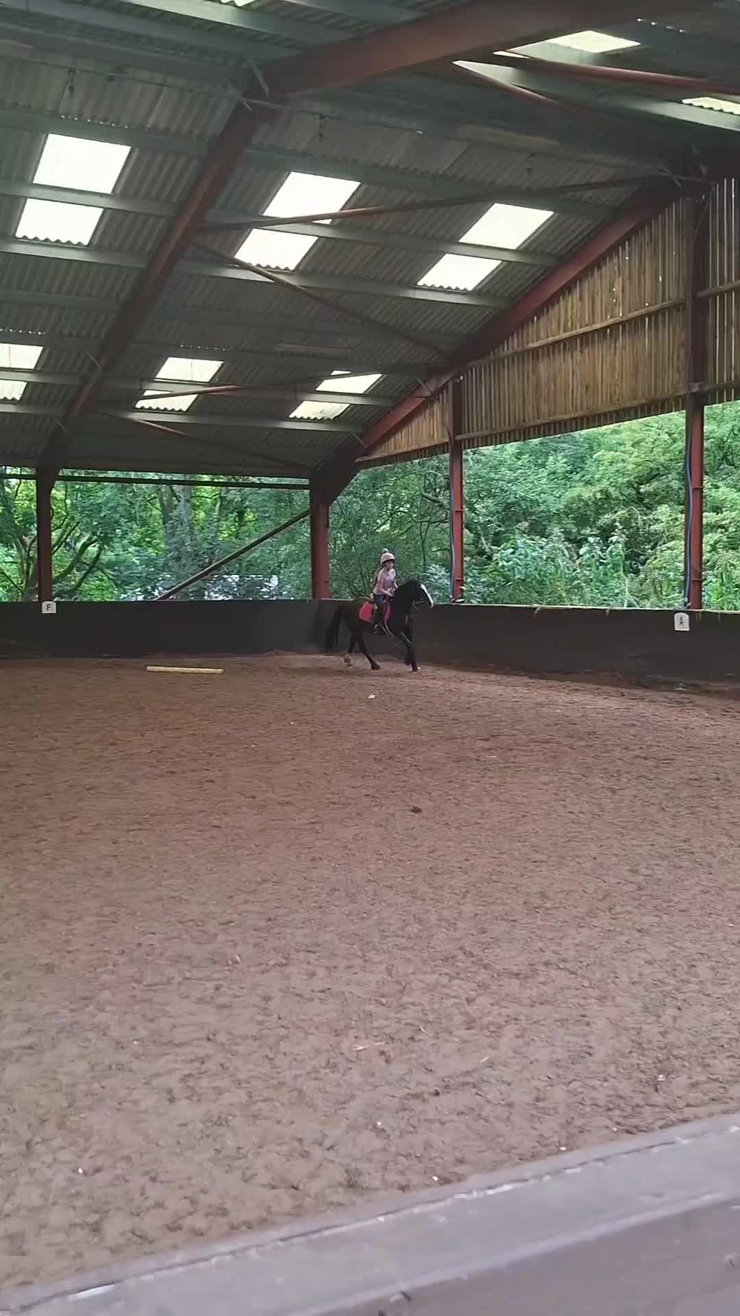 @Scarlett🐴🌾