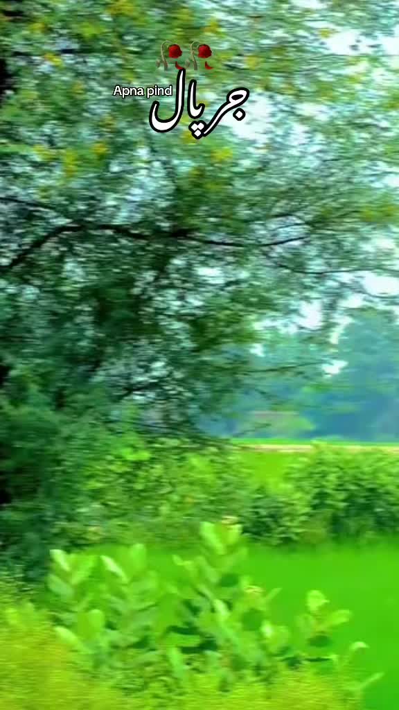 @Apna pind jarpal