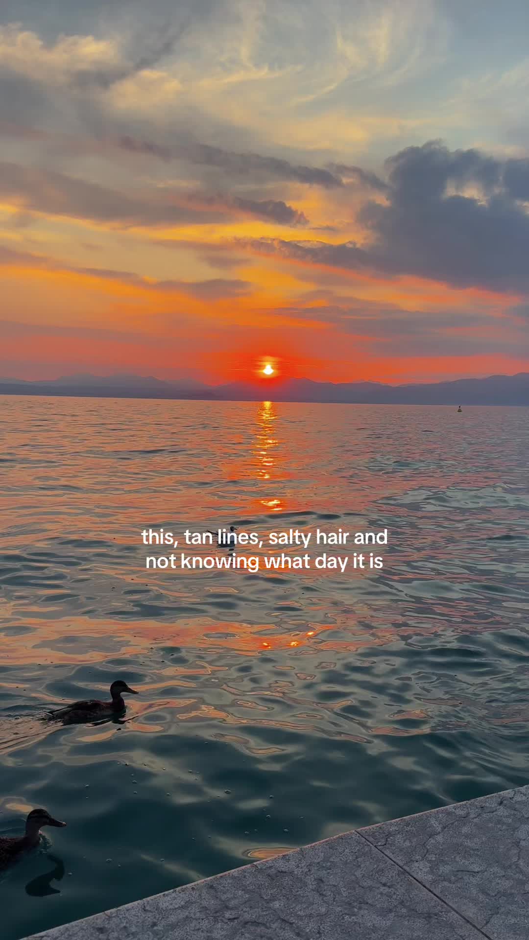 @tini🩷⭐️🧚🏼