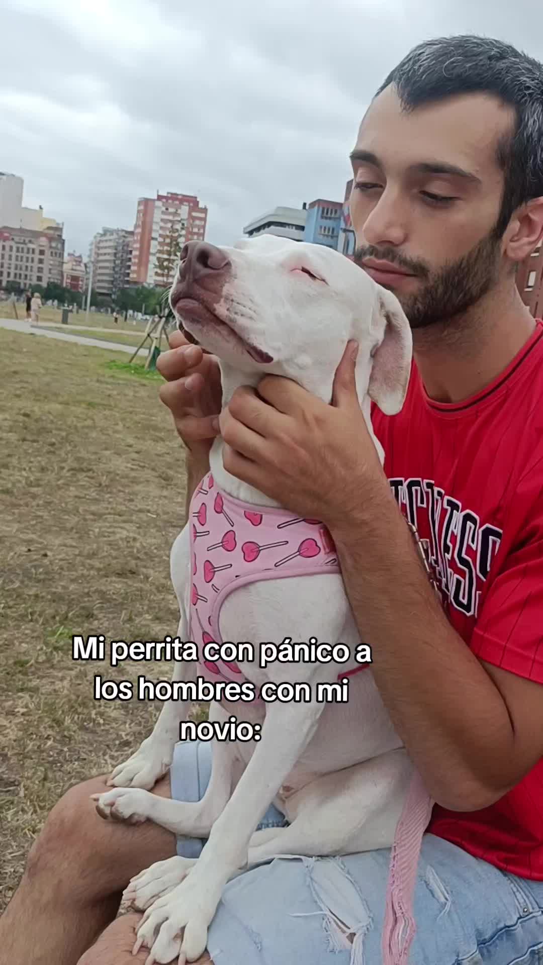 @Lau