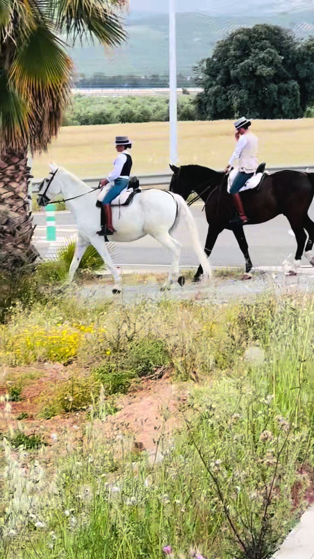 @Sandra Molina🐎🇪🇸