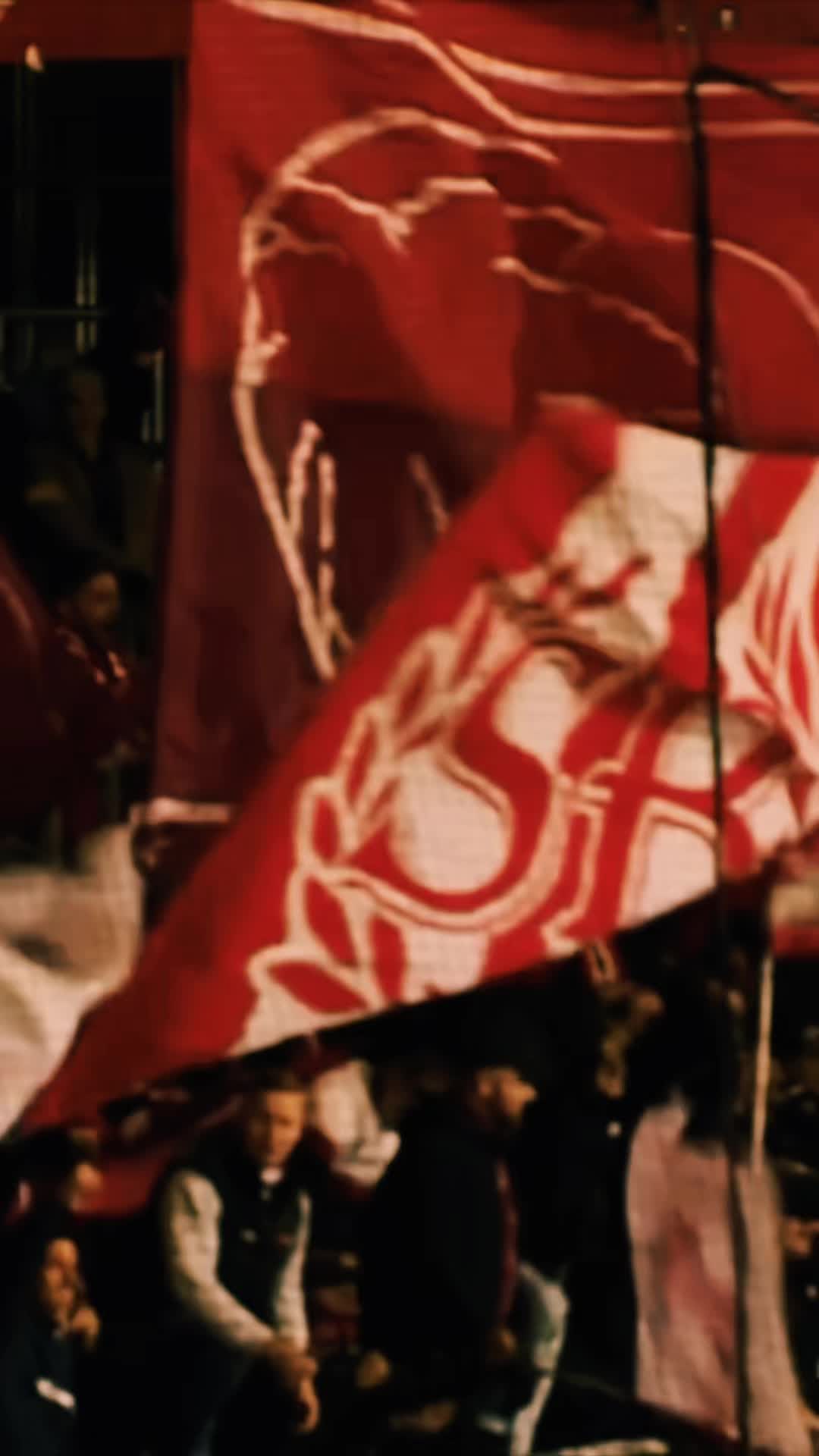 @FCSalzburgClips23
