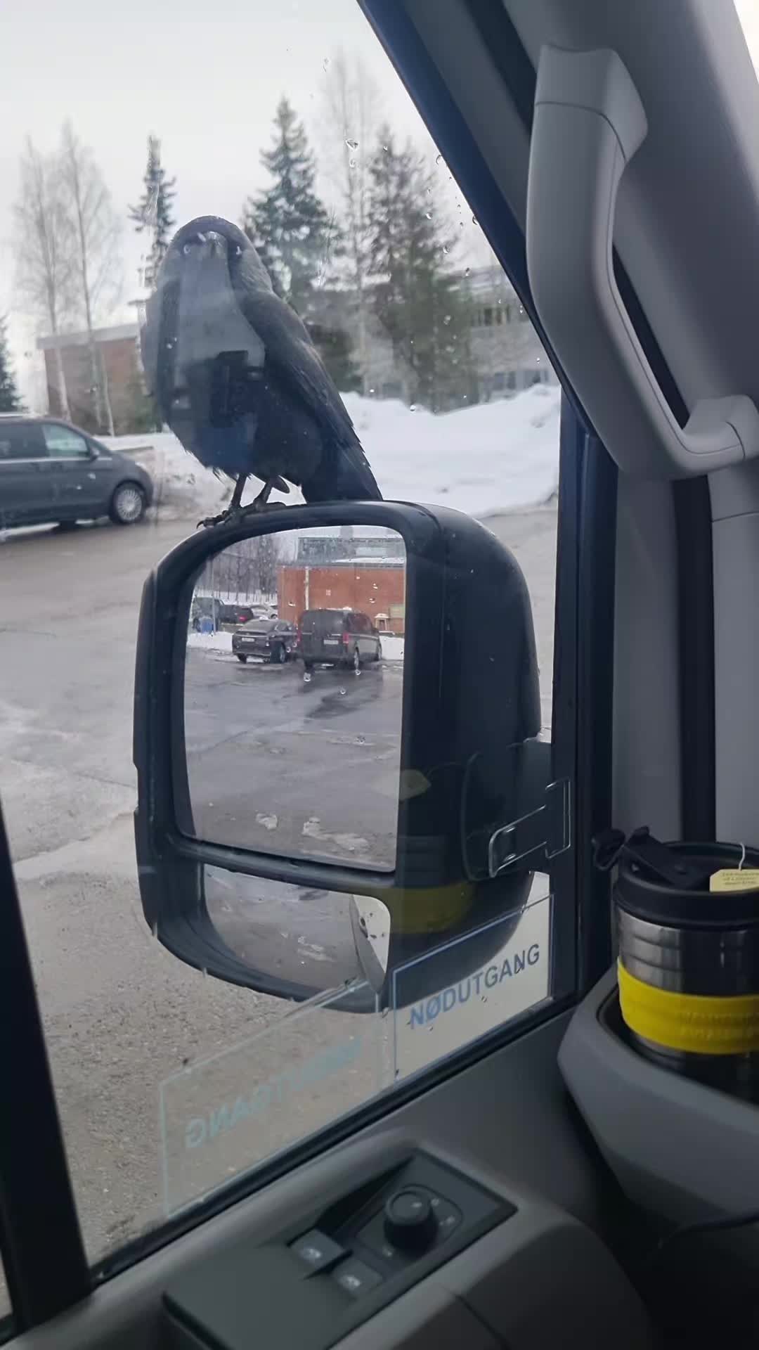 @Transportøren
