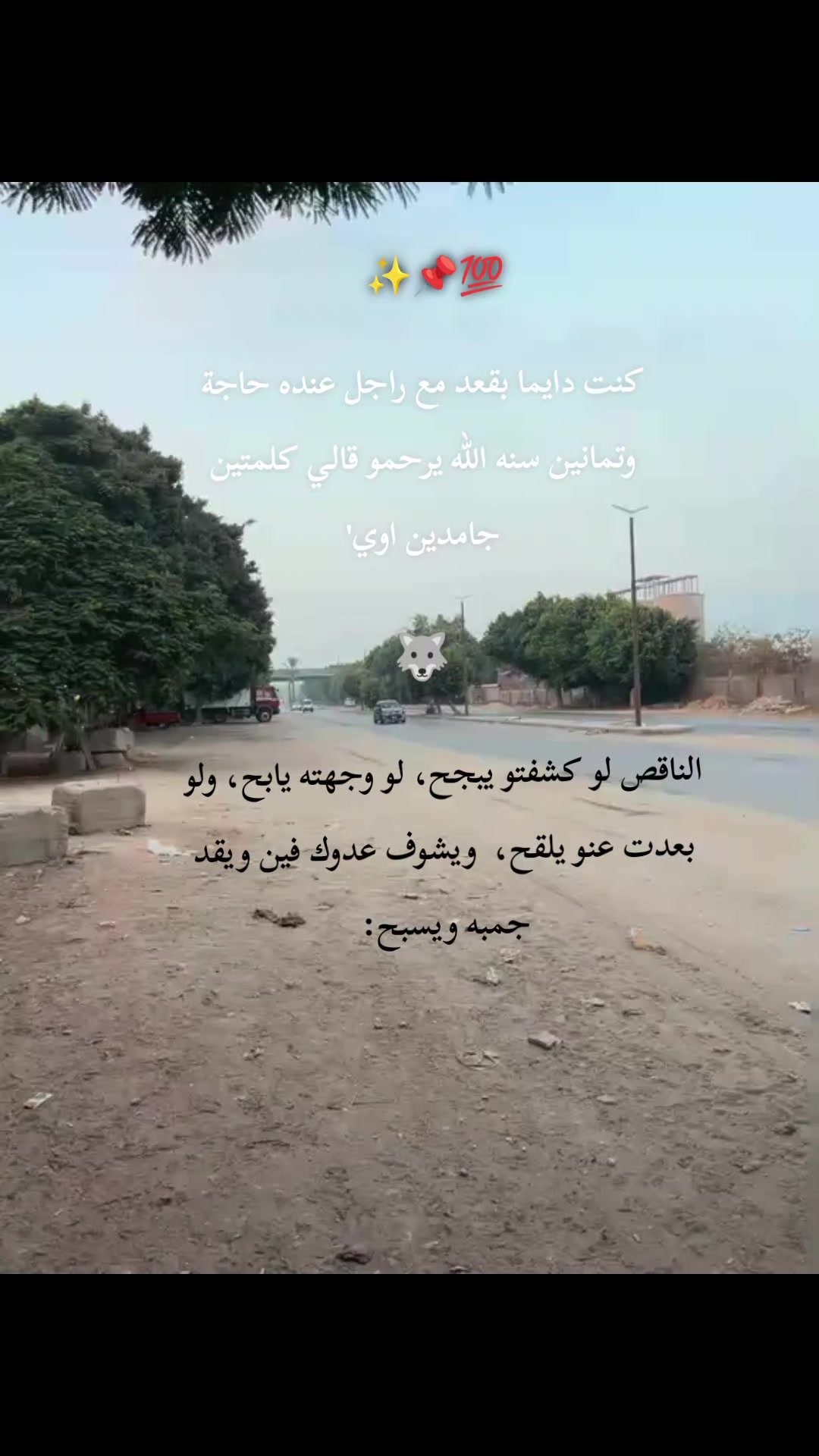 @(برازيلي) بس مصري🐺'
