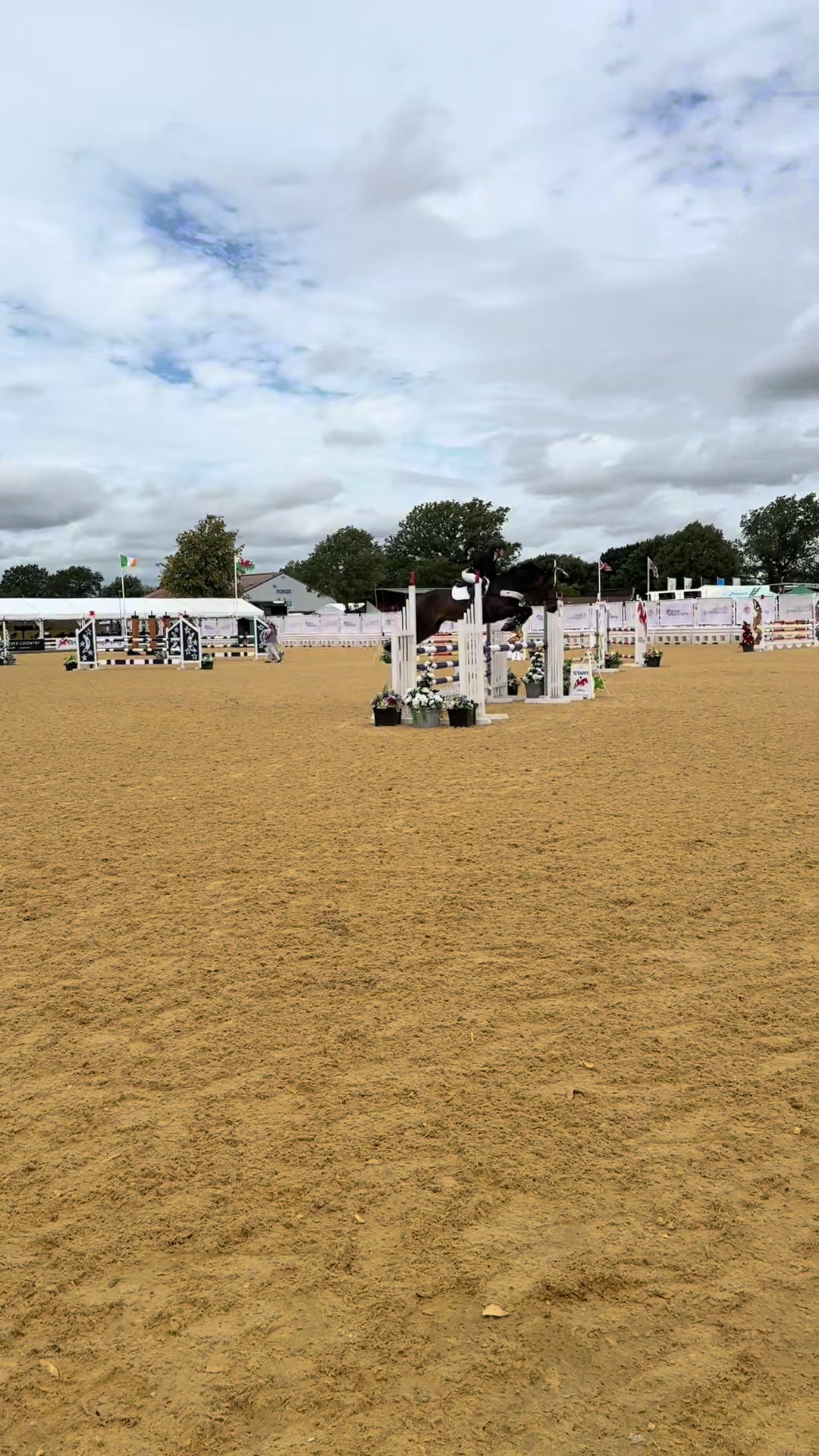 @cedequestrian