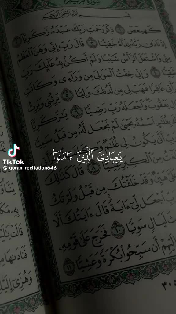 @R38_Abdulrahman(✨)🪼