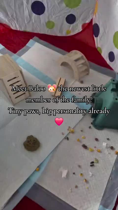 @Pawfectlypicked