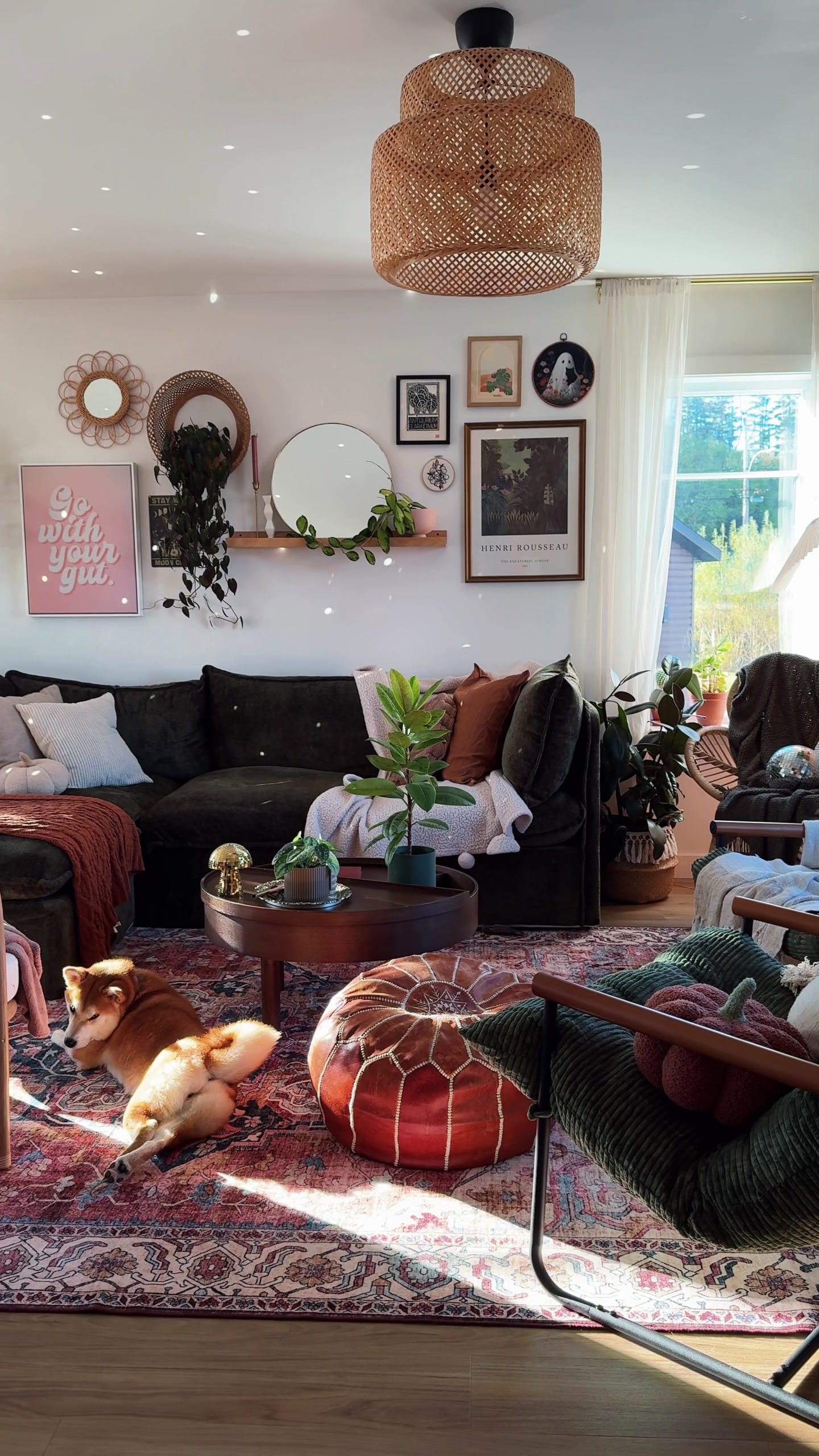 @Laura | Plants & Home decor