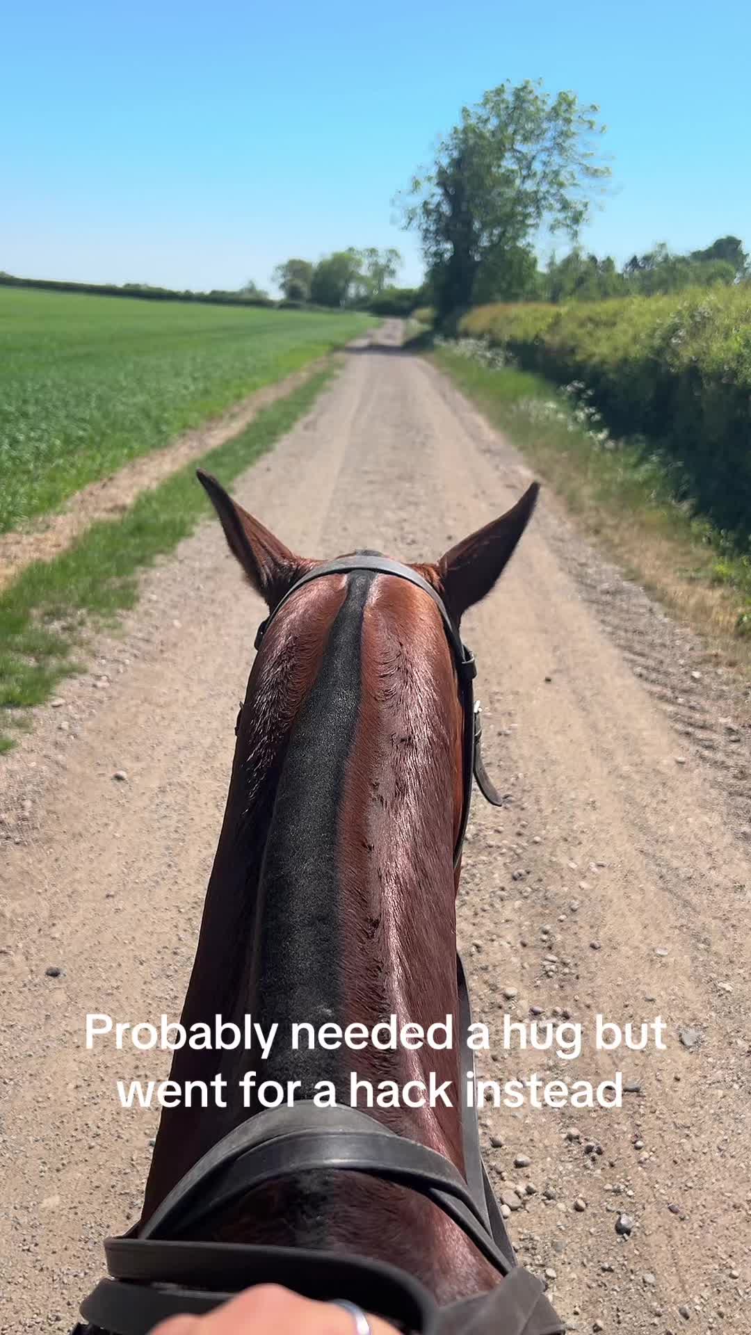 @Nikki 🐾🖤