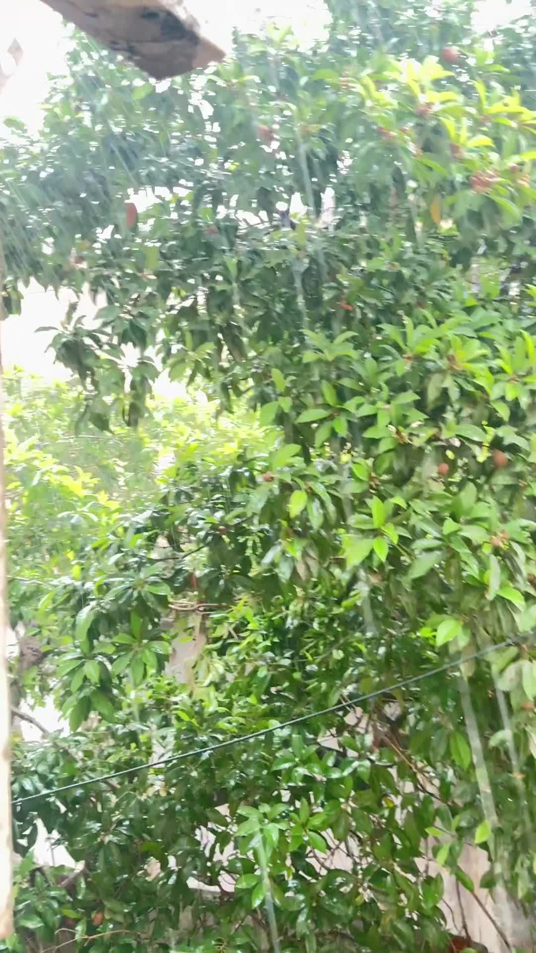 @شفاء🦋