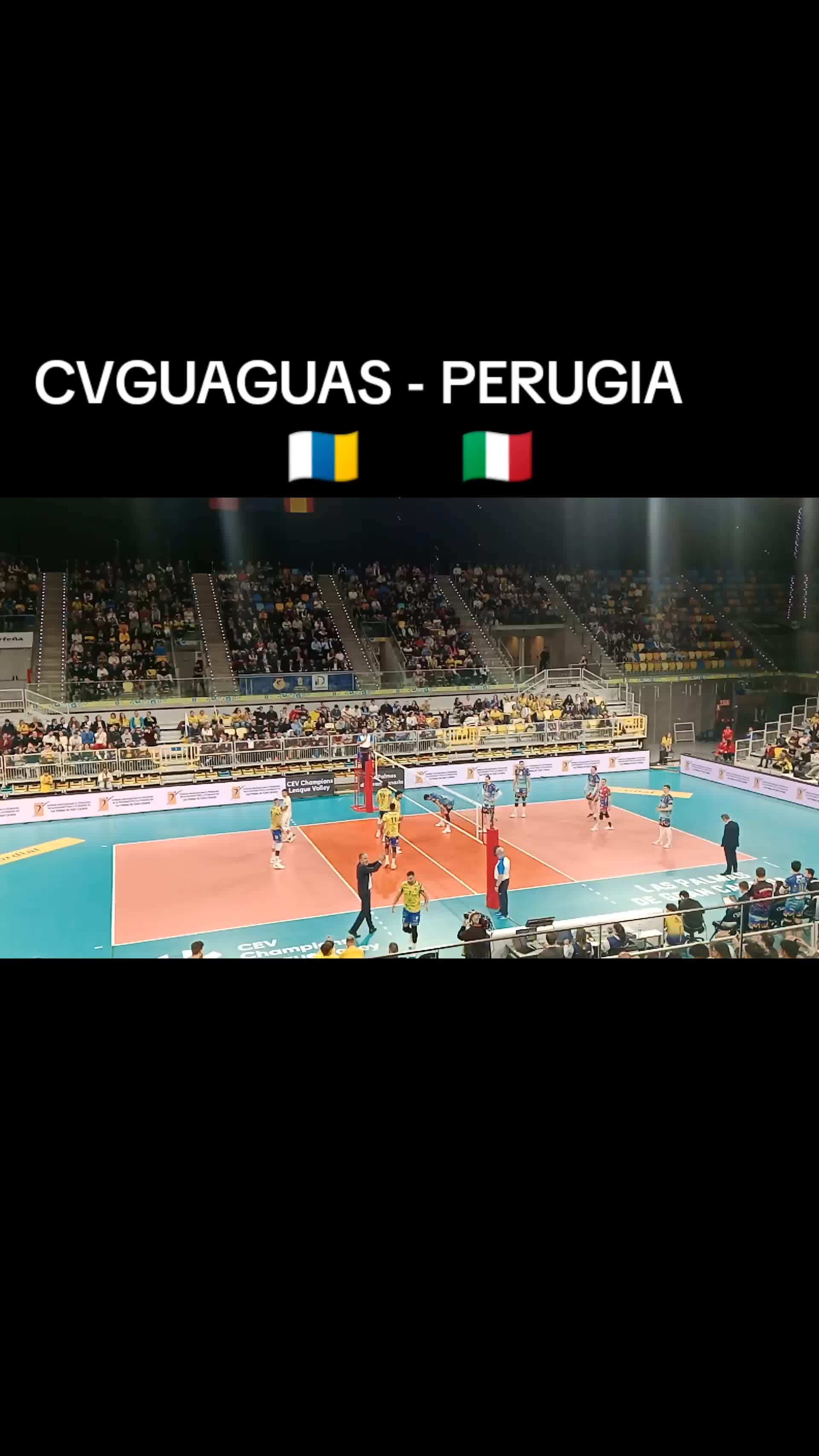 @Selina Arena
