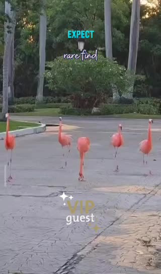 @❖𝗦𝗘𝗕❖🅶❤️𝐀❖🙋