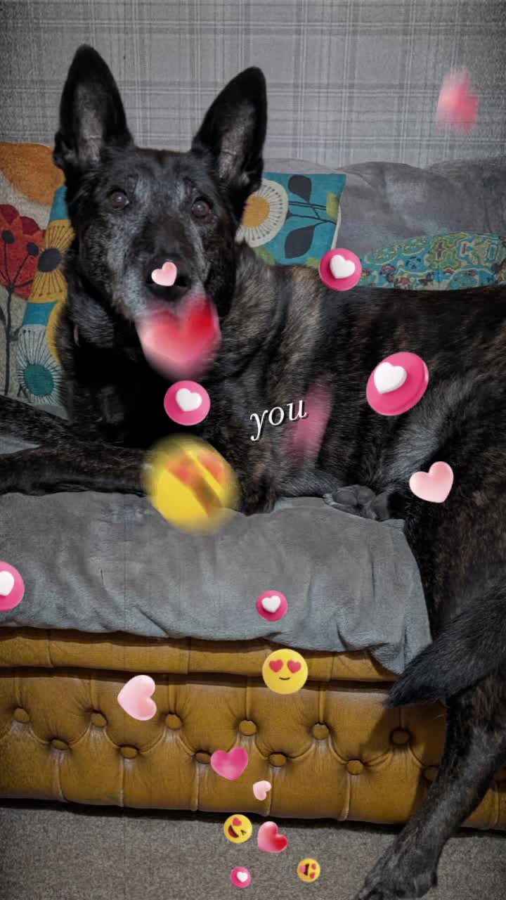 @Angie