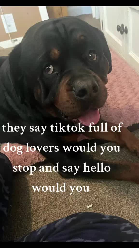 @Reggie the Rott