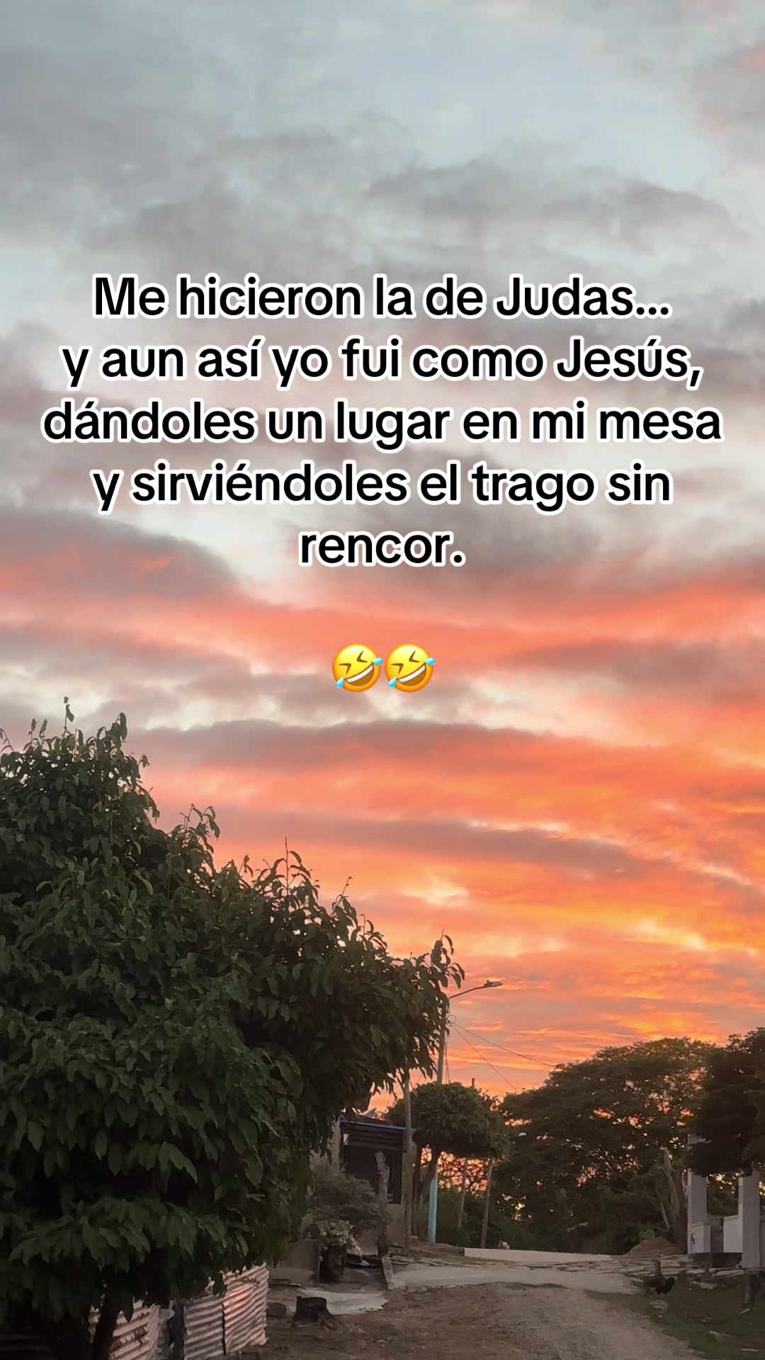 @Zully Guerra 🪼🫧