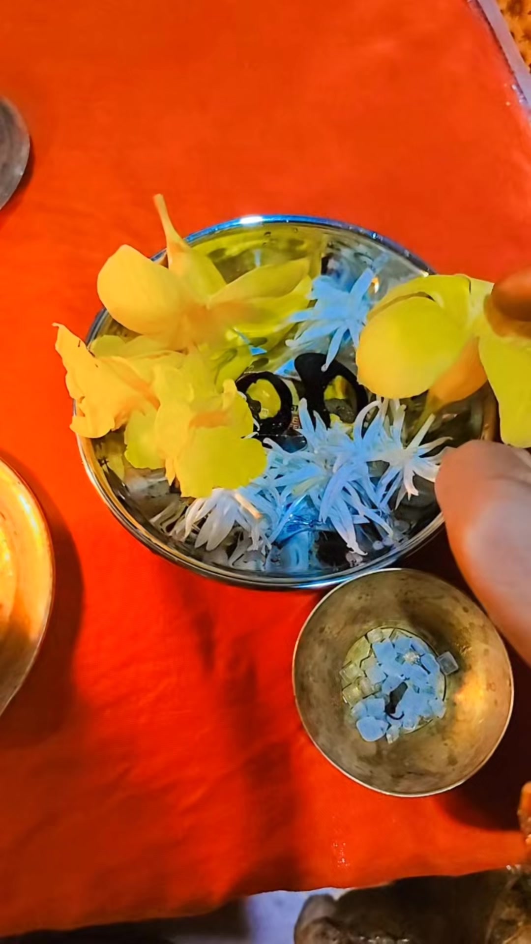 @Amrita Mahaseth