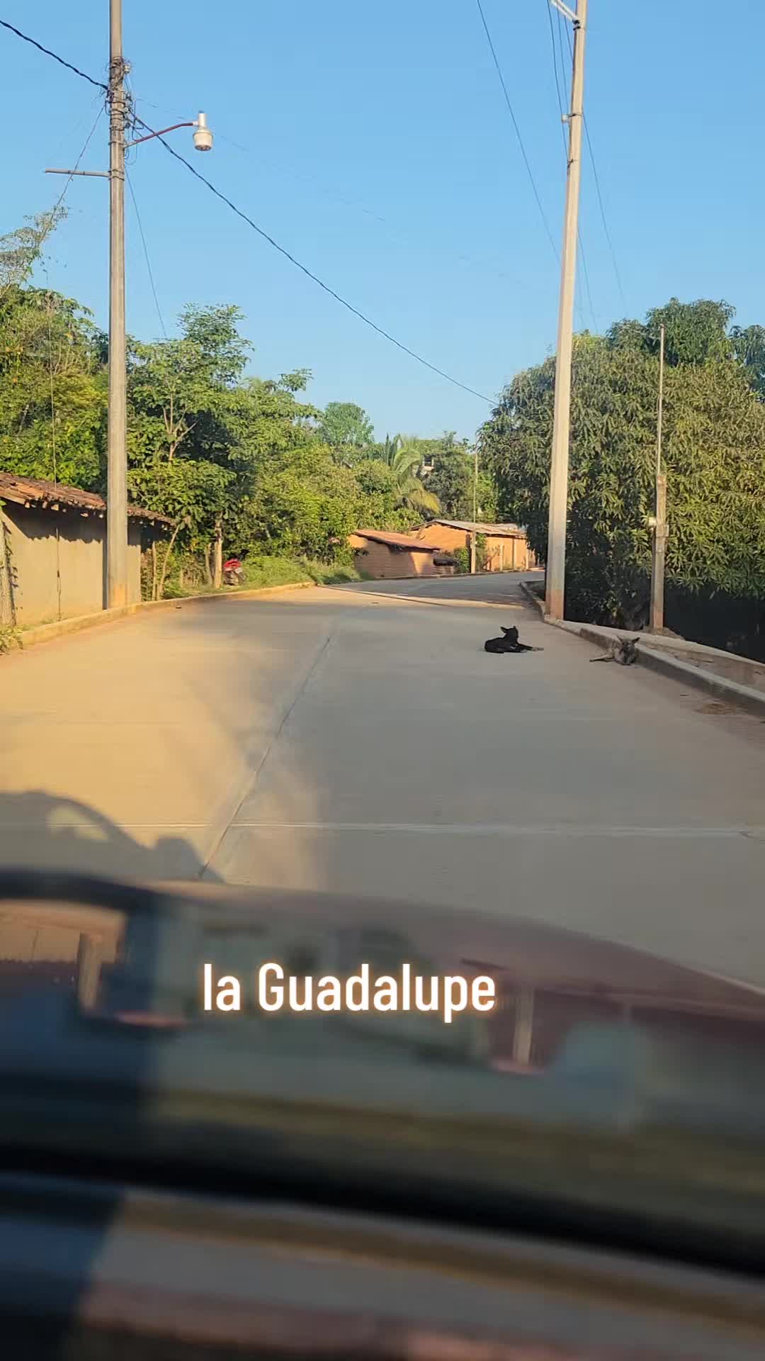 @lucymanzano