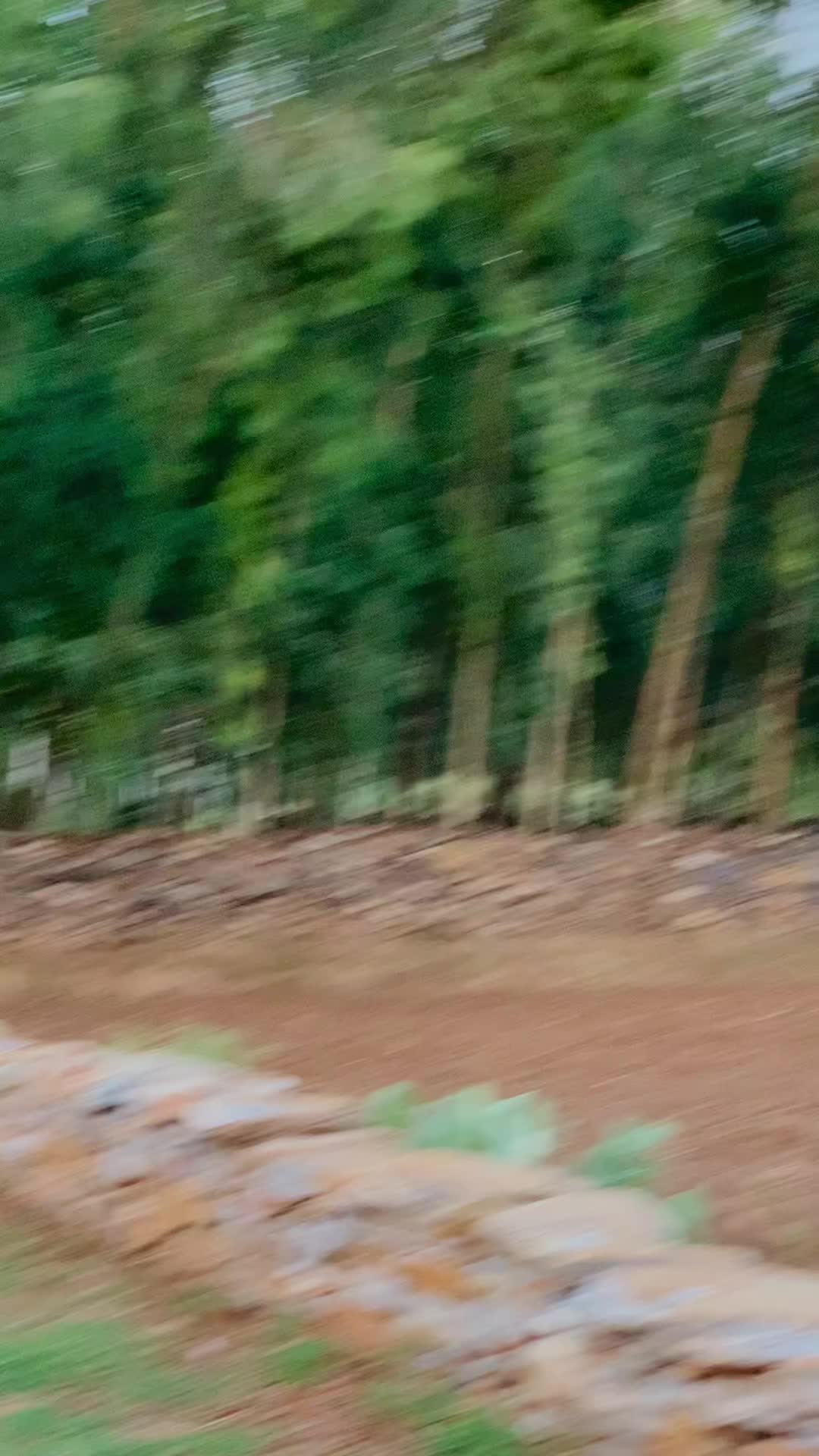 @~ T