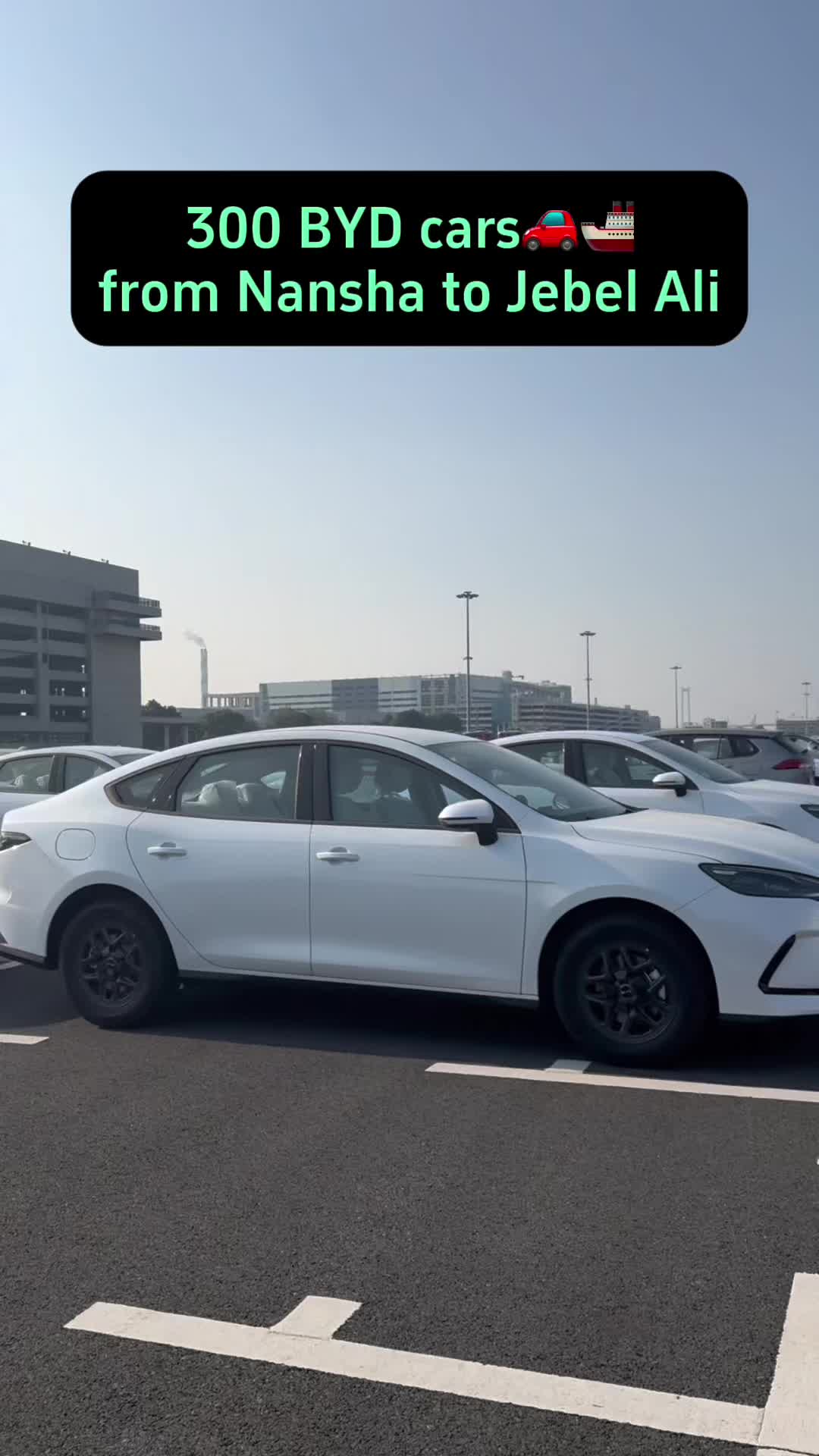 @revopanda_auto_china