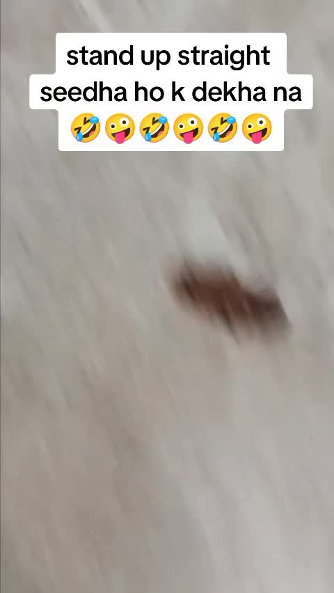 @ℝ𝕚𝕫𝕨𝕒𝕟💪𝕄𝕒𝕝𝕒𝕟𝕘