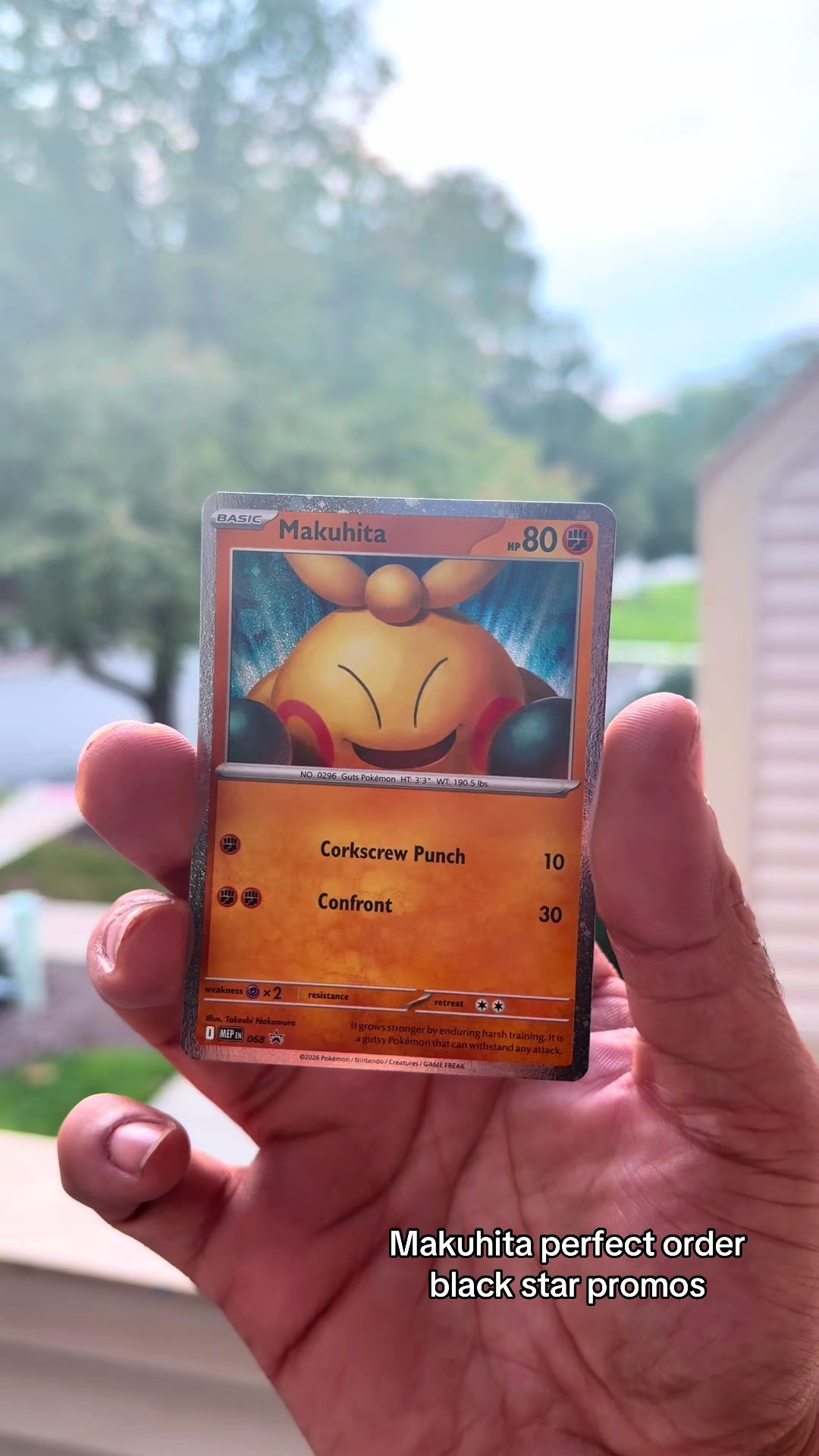 @Njpokemonrips