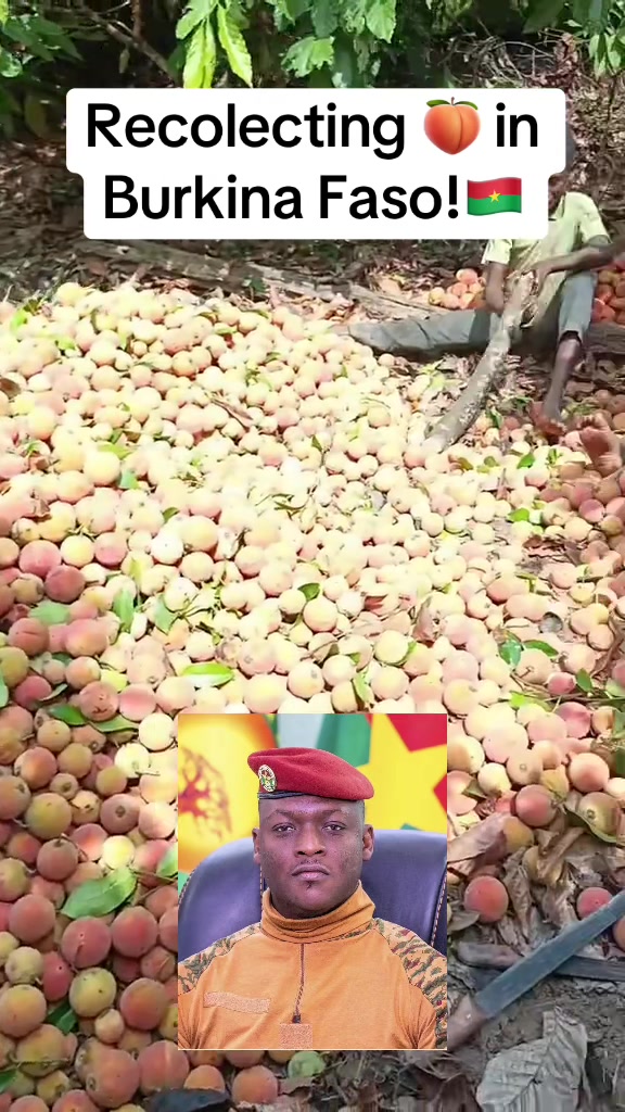 @Jeff.