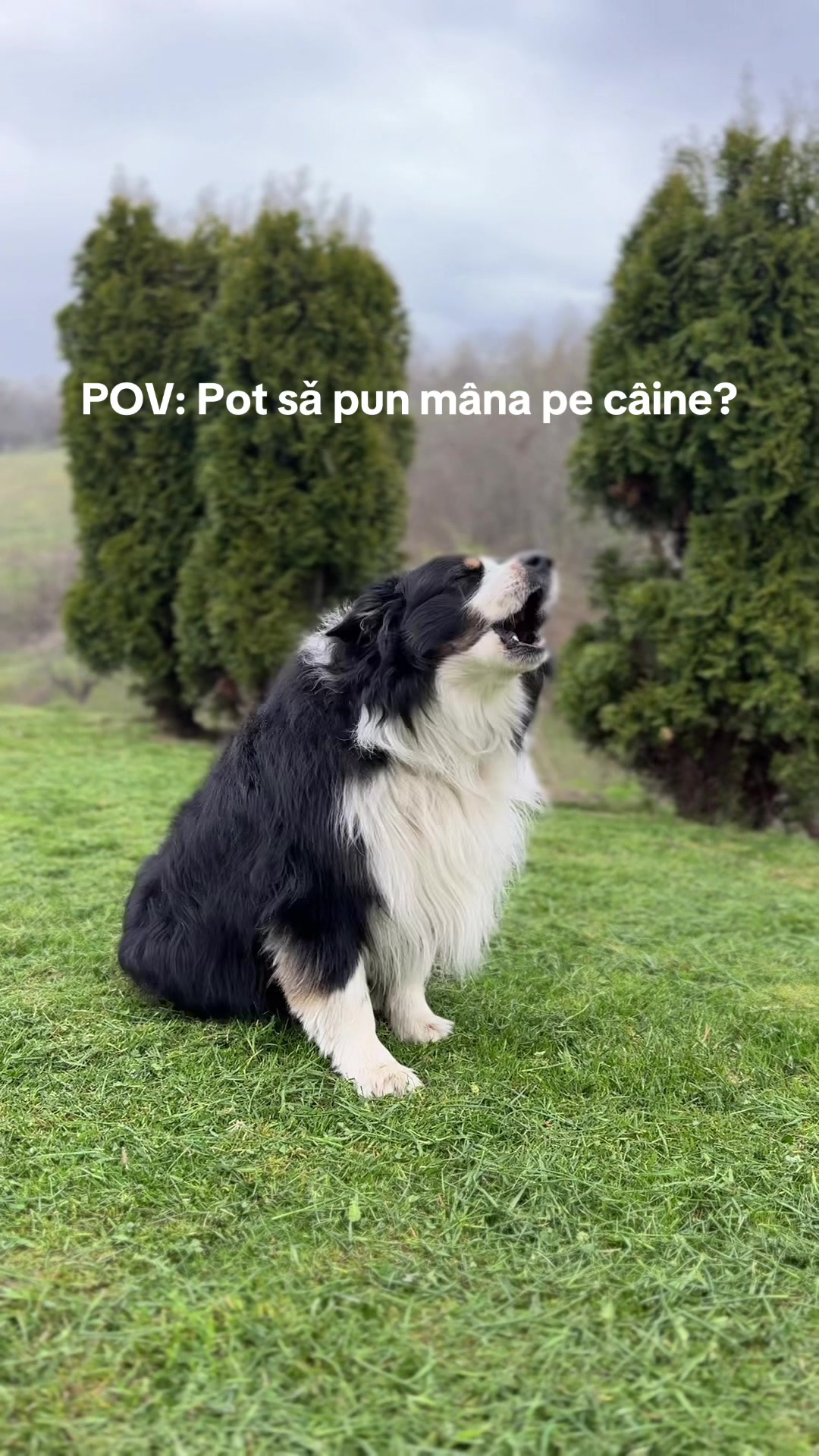 @MsOpiu Opiu
