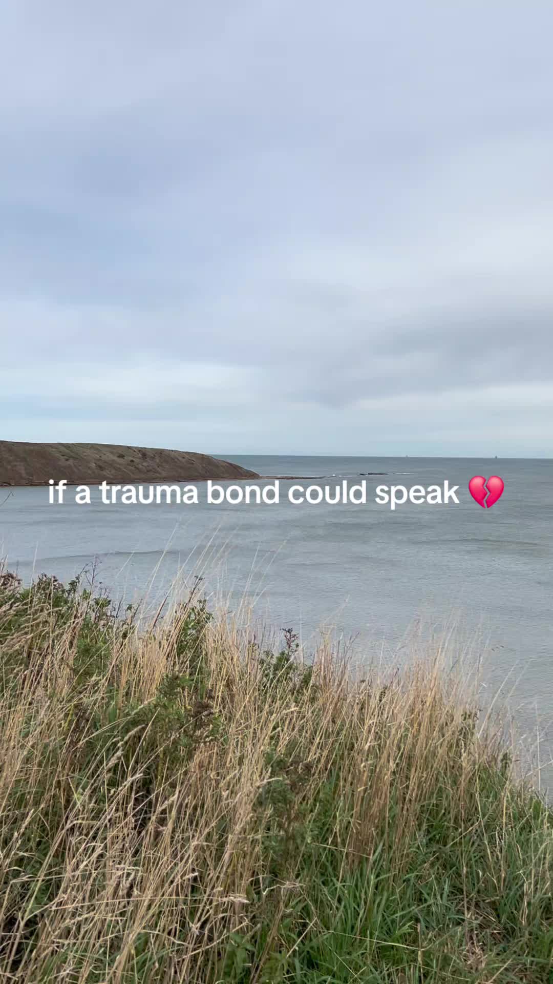@Brooke Dannielle 🌺