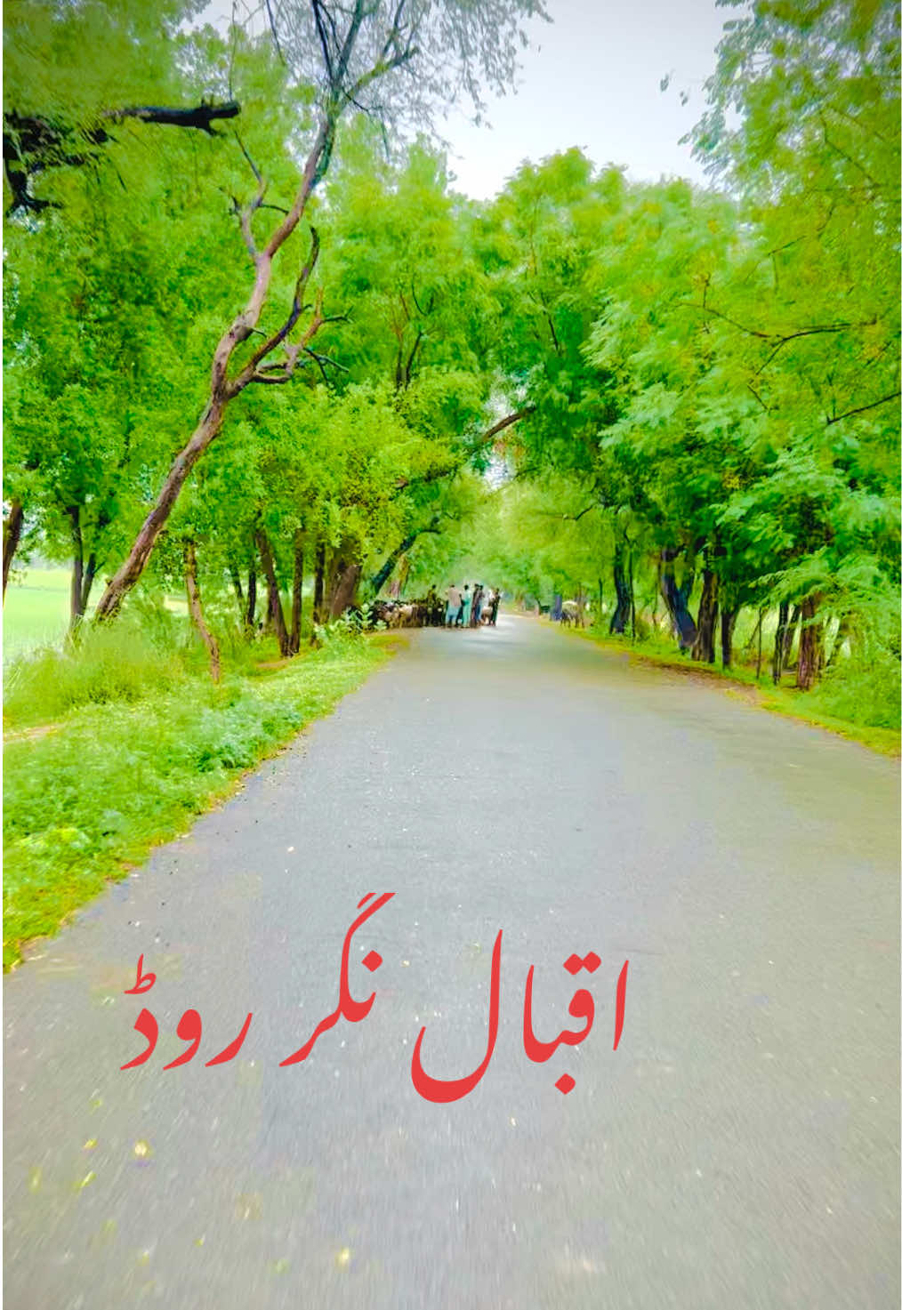 @میرا خوبصورت گاؤں